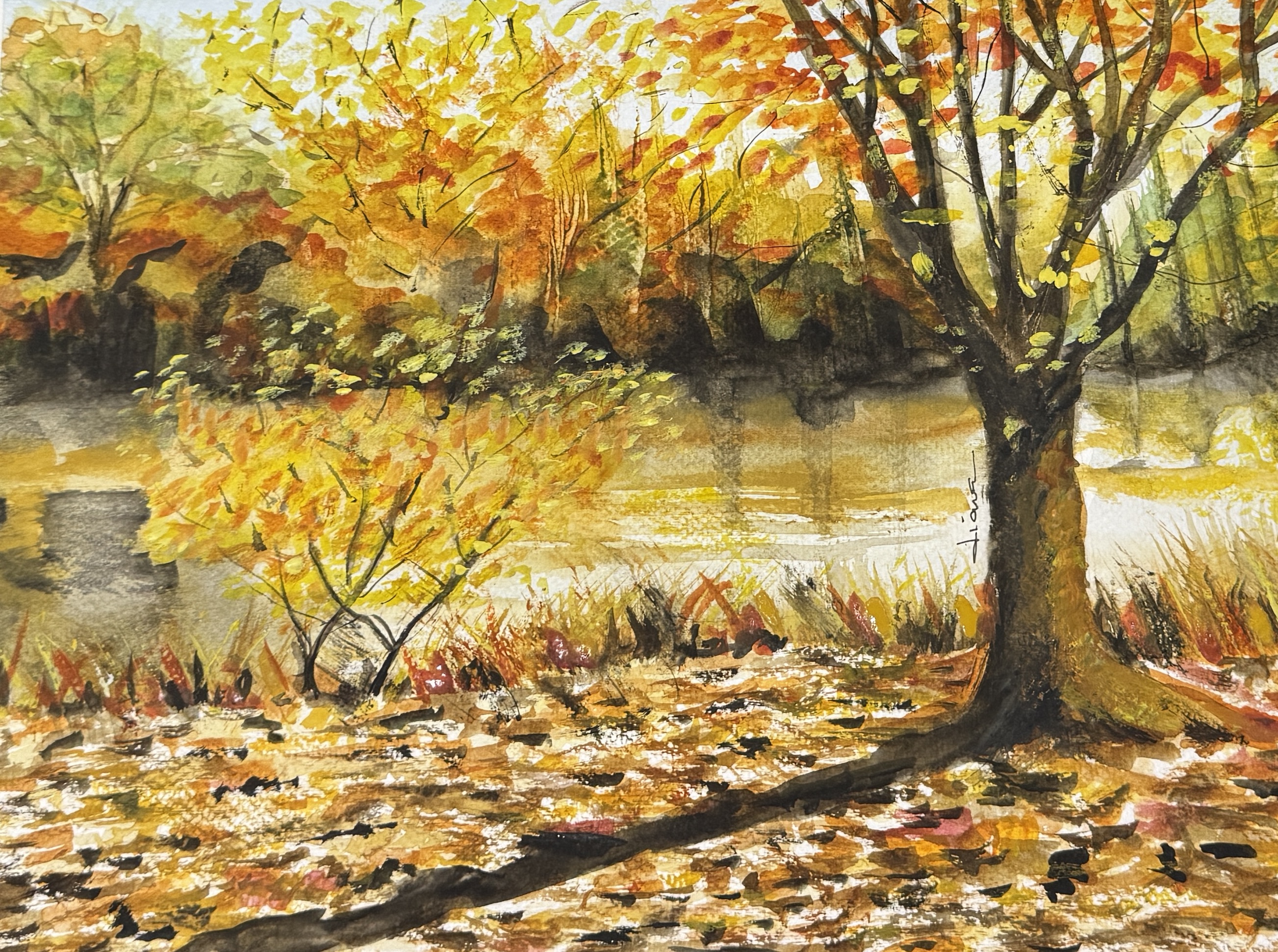 Amber Reflections