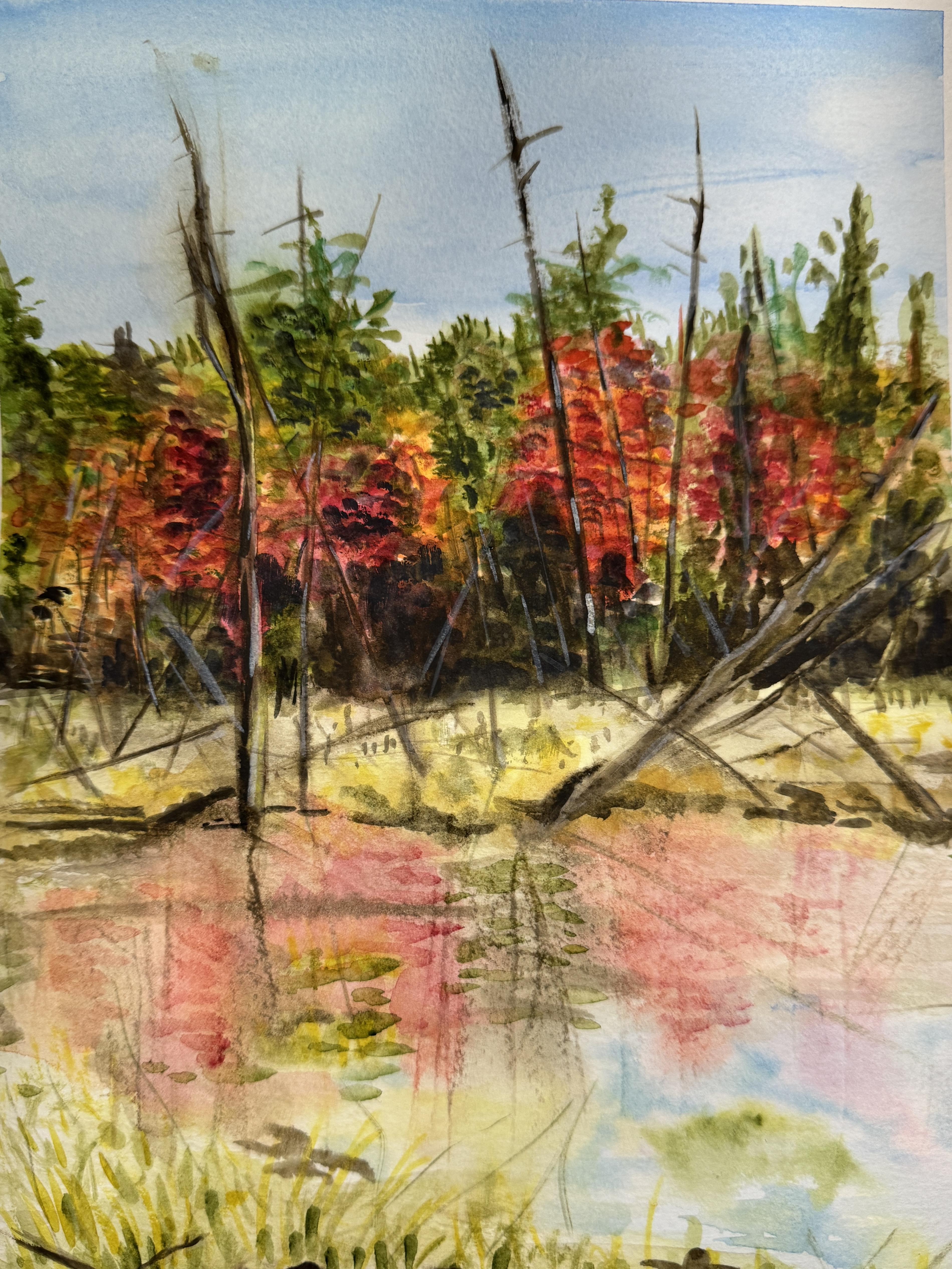 Autumn reflections