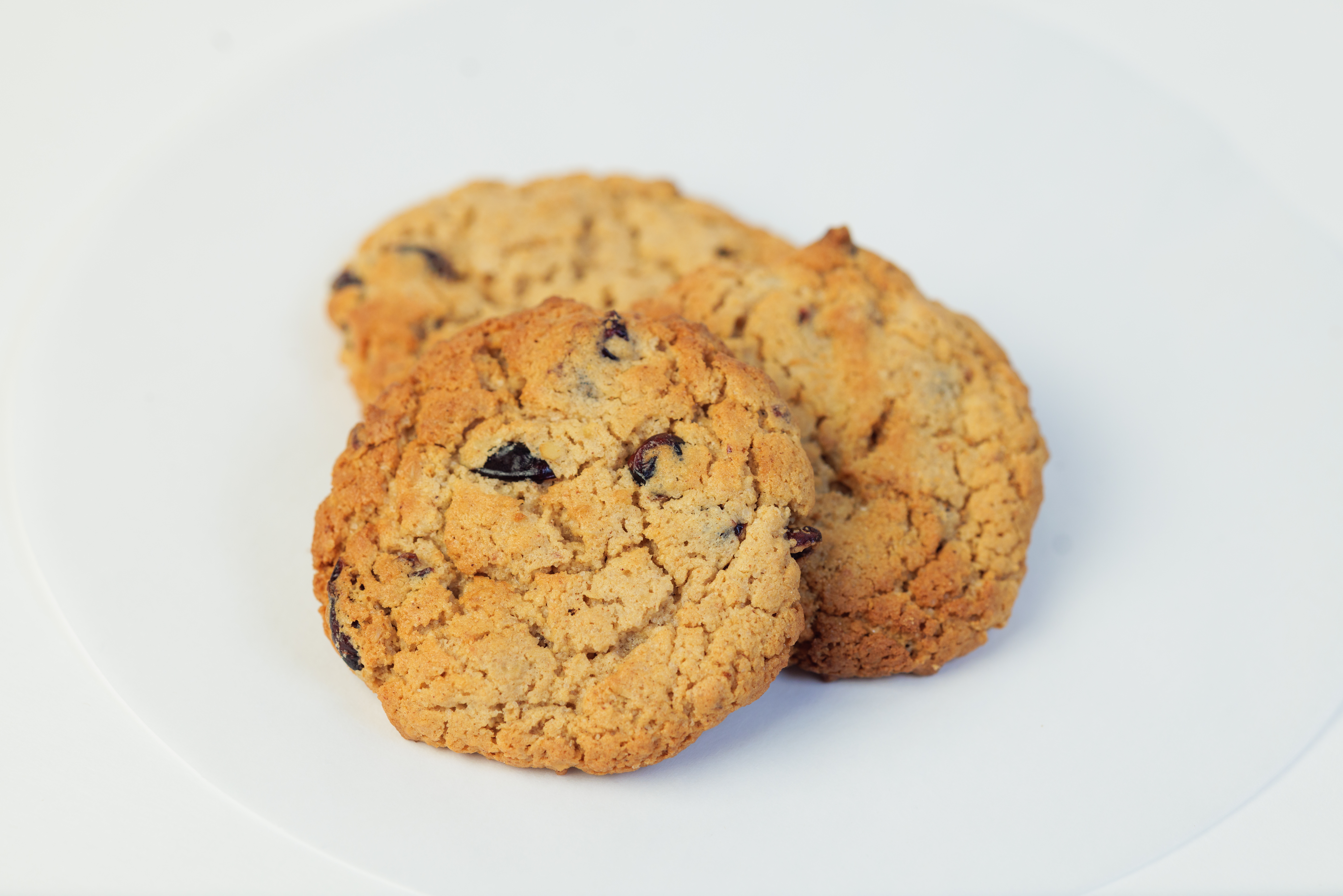 Only Oats Cranberry Gluten Free Cookies
