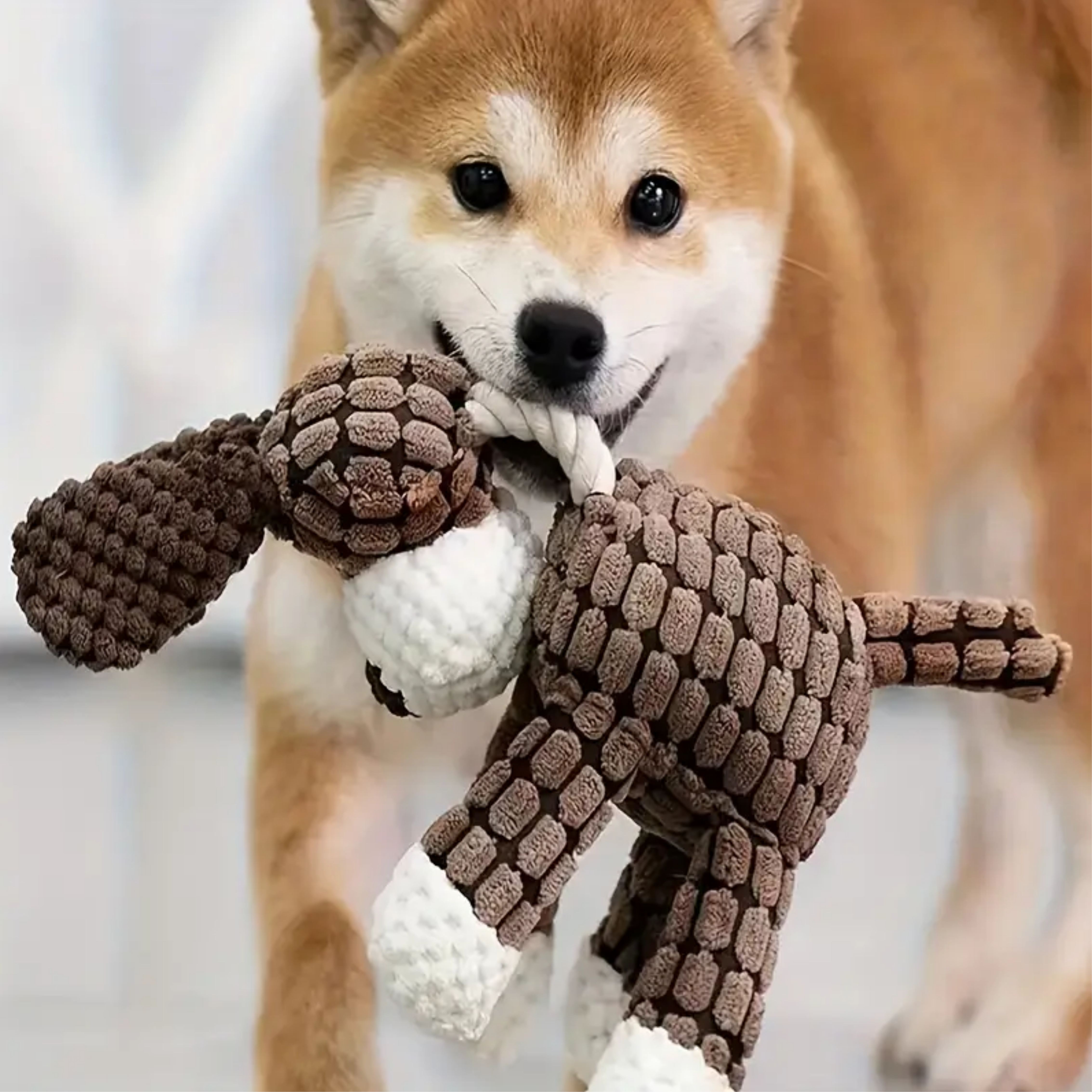 Peluche Interattivi a Forma di Cane🐶, Asino🦓 e Mucca🐮