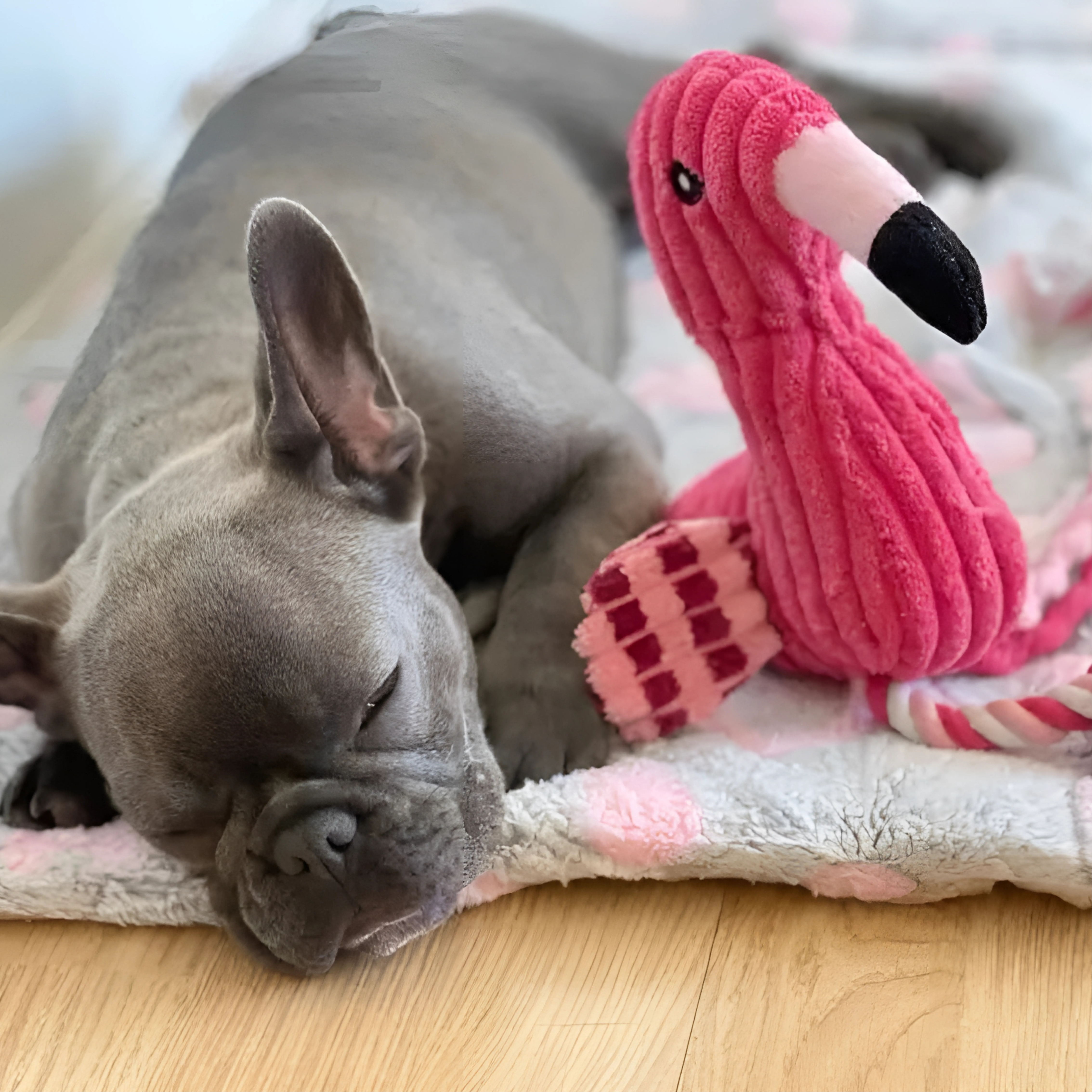 Peluche Interattivo a Forma di Fenicottero🦩