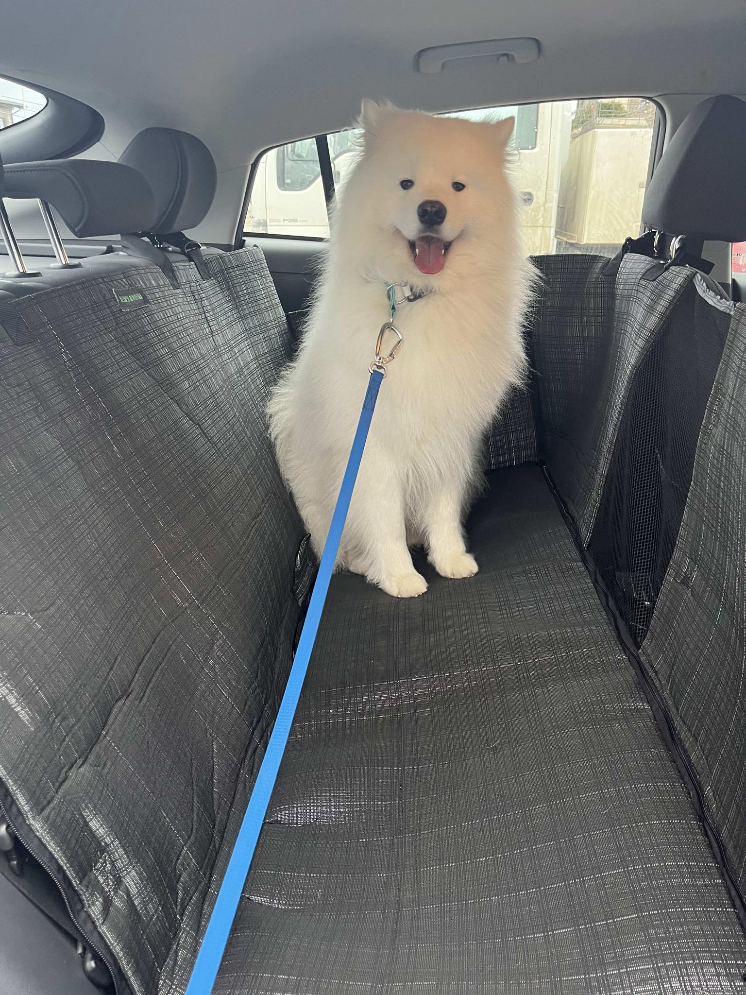 Automobilio sėdynių apsauginis užklotas 55x123