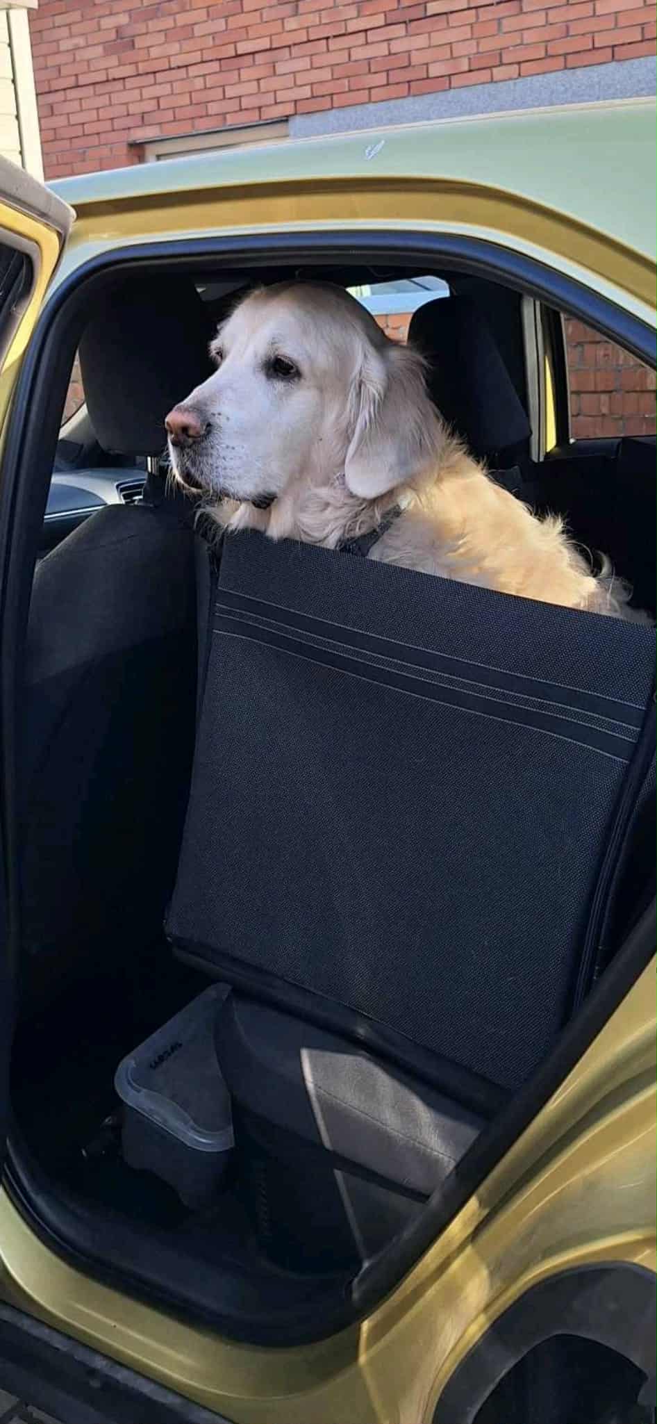 Automobilio sėdynių apsauginis užklotas 55x120