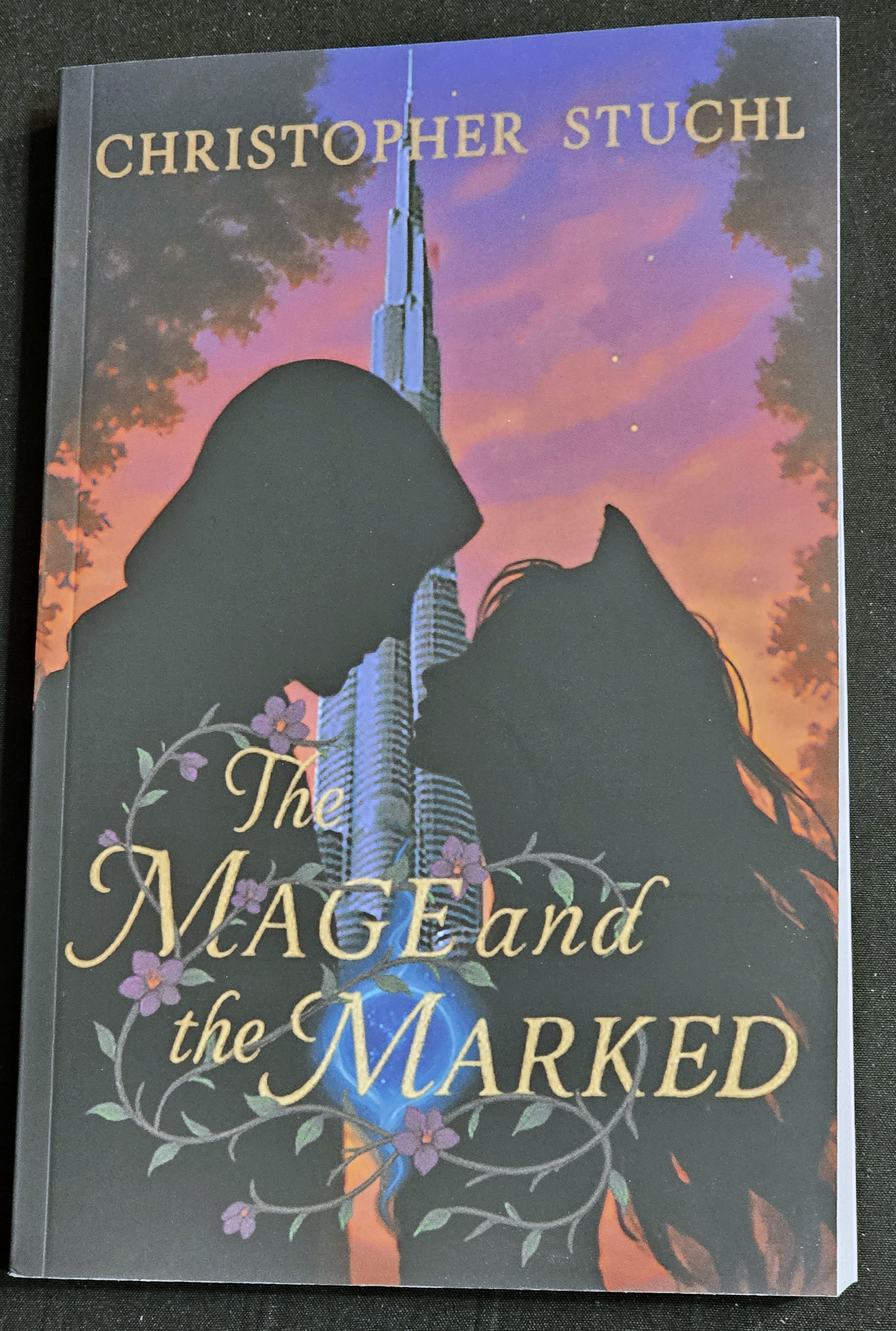 The Mage and the Marked - A Romantasy Adventure
