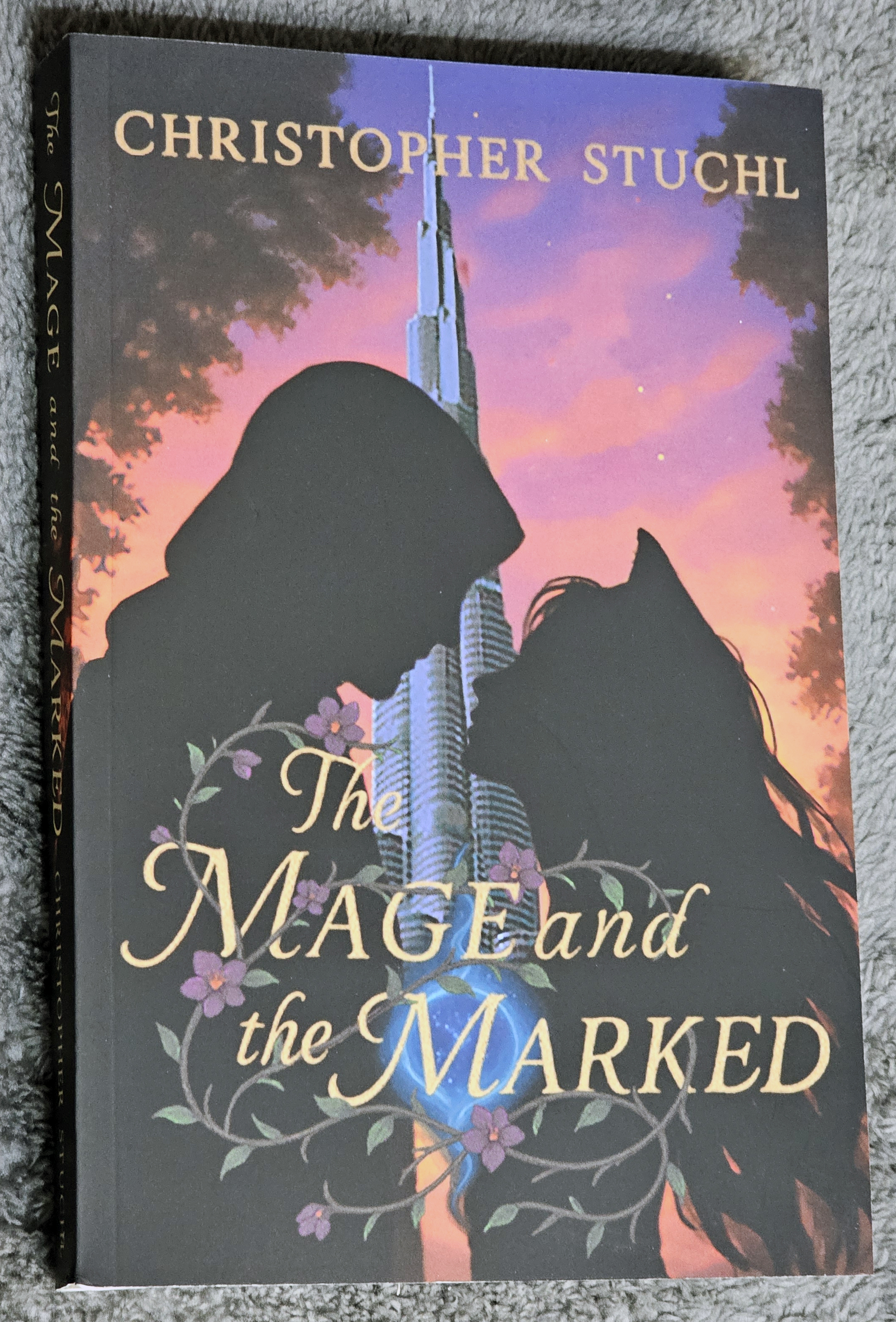 The Mage and the Marked - A Romantasy Adventure