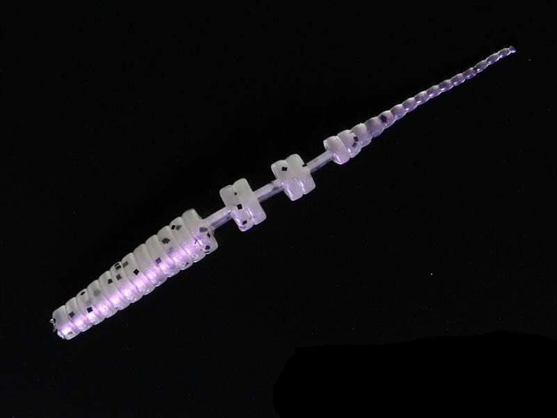 Perch'ik Worm