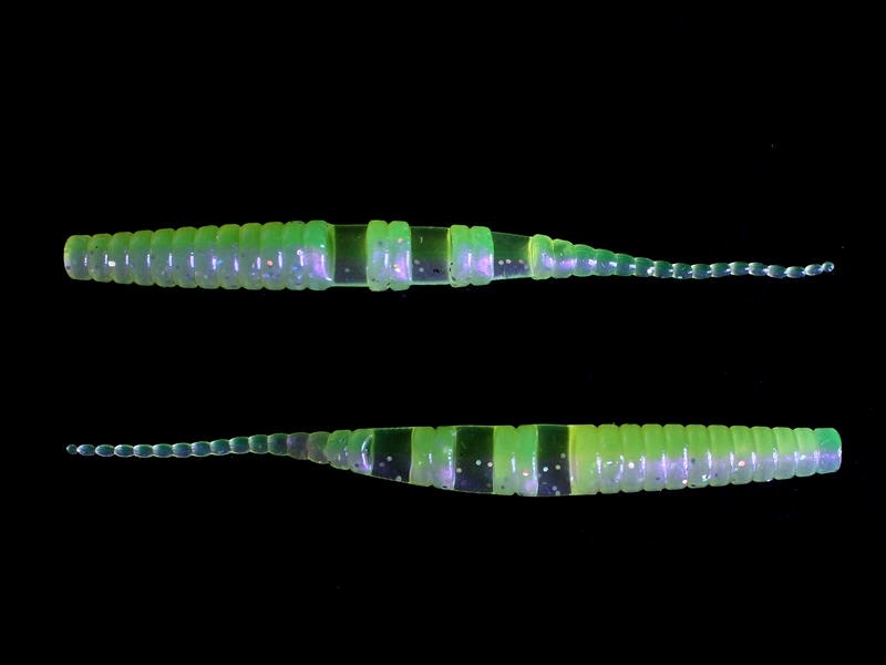 Perch'ik Worm