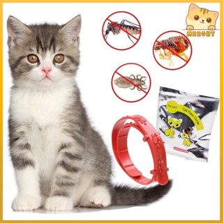Cat Flea Circle
