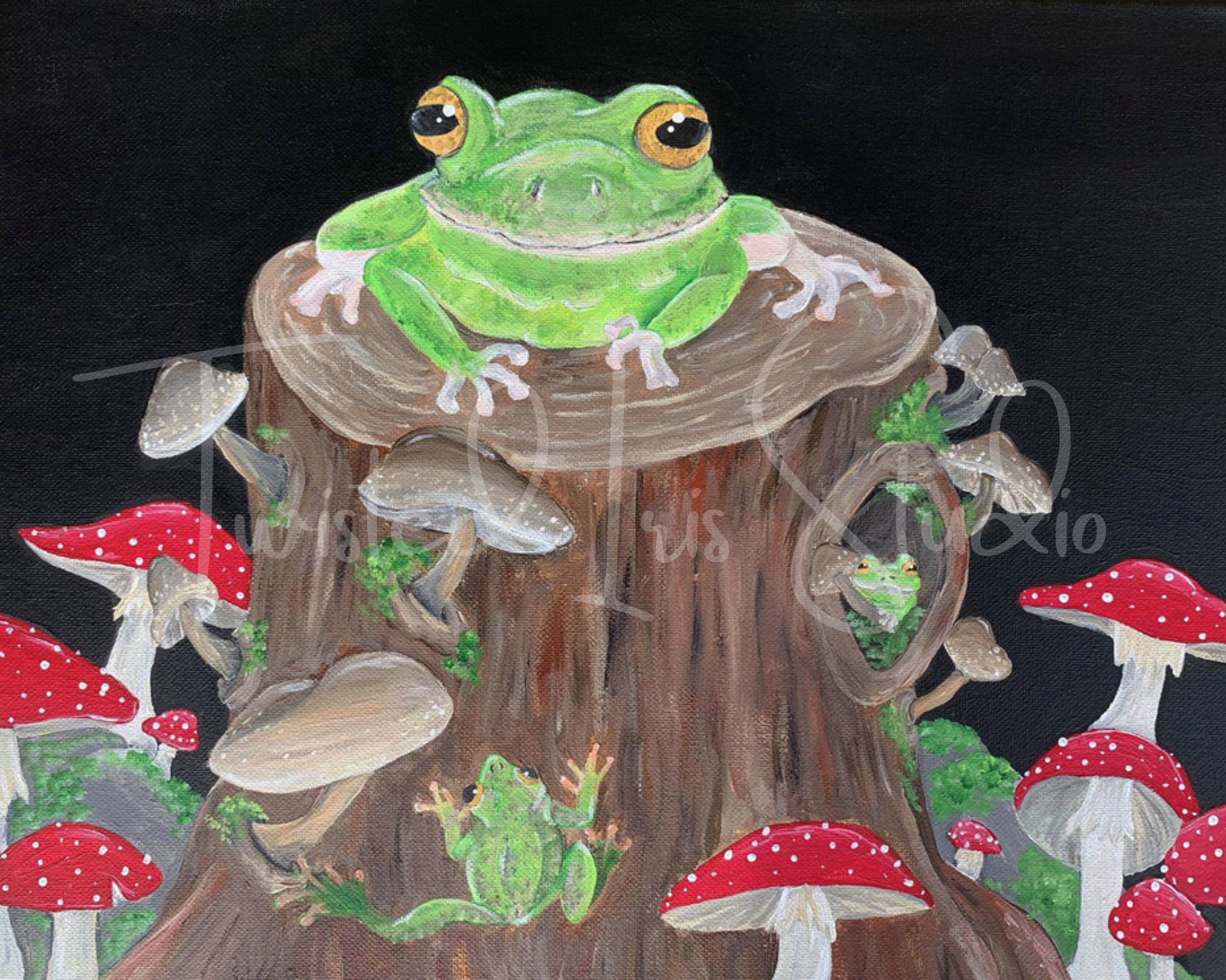 Frogs in the Hollow