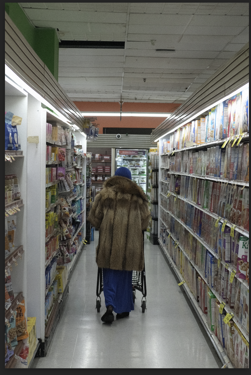 "To The Frozen Section" — 8x12 Print