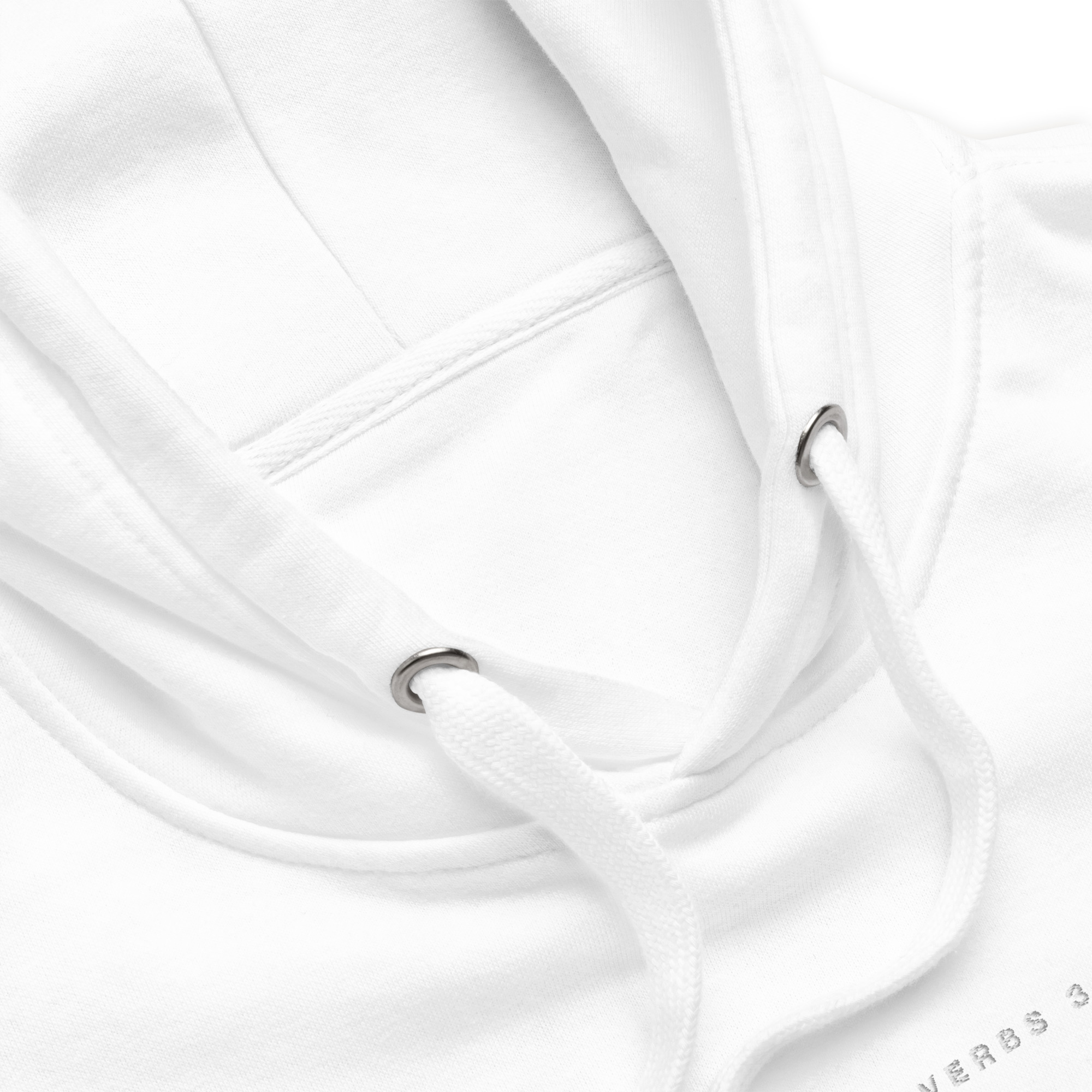 Proverbs 3:5–6 Hoodie