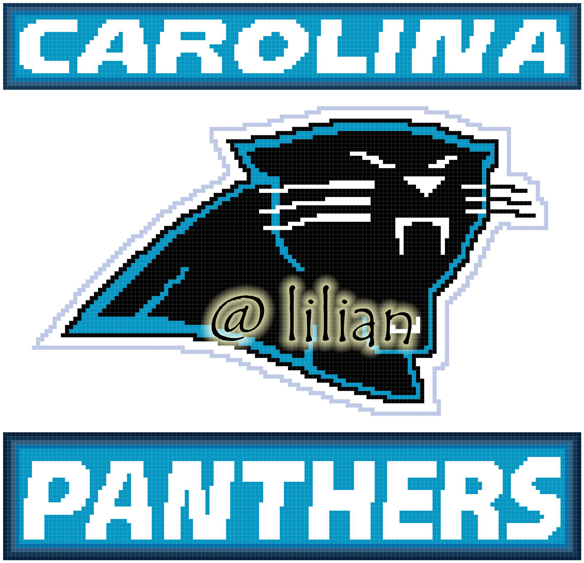 PDF ~NFL CAROLINA PANTHERS Counted Cross Stitch PATTERN