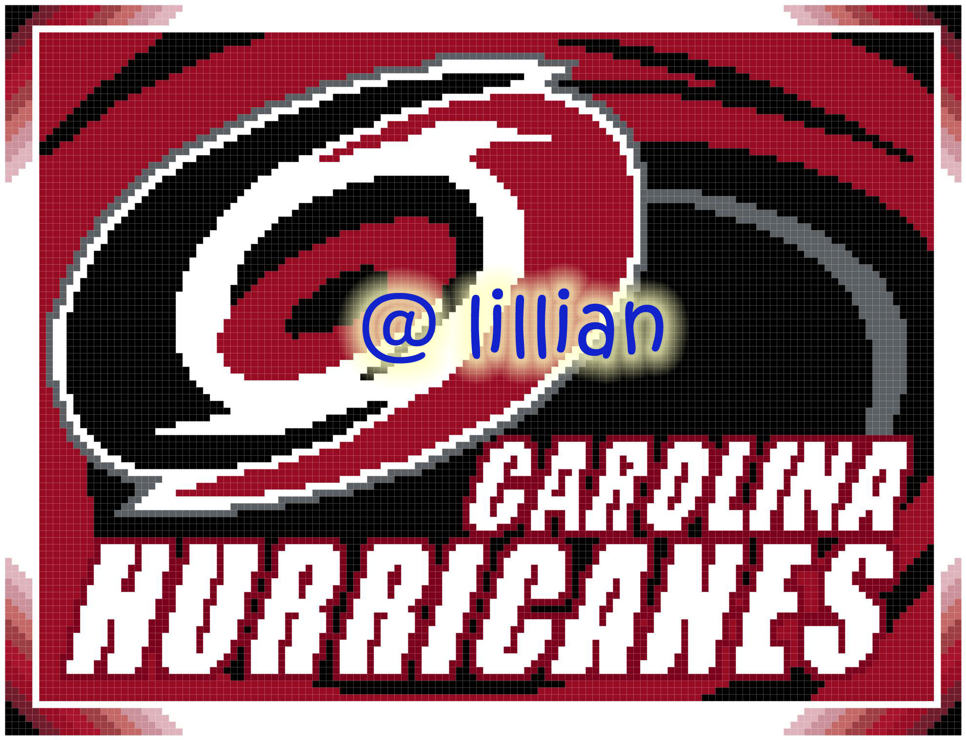 PDF ~NHL CAROLINA HURRICANES Counted Cross Stitch PATTERN
