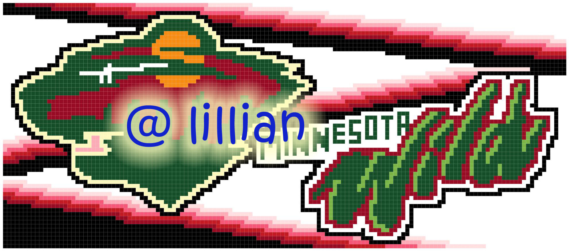 PDF ~NHL MINNESOTA WILD Counted Cross Stitch PATTERN