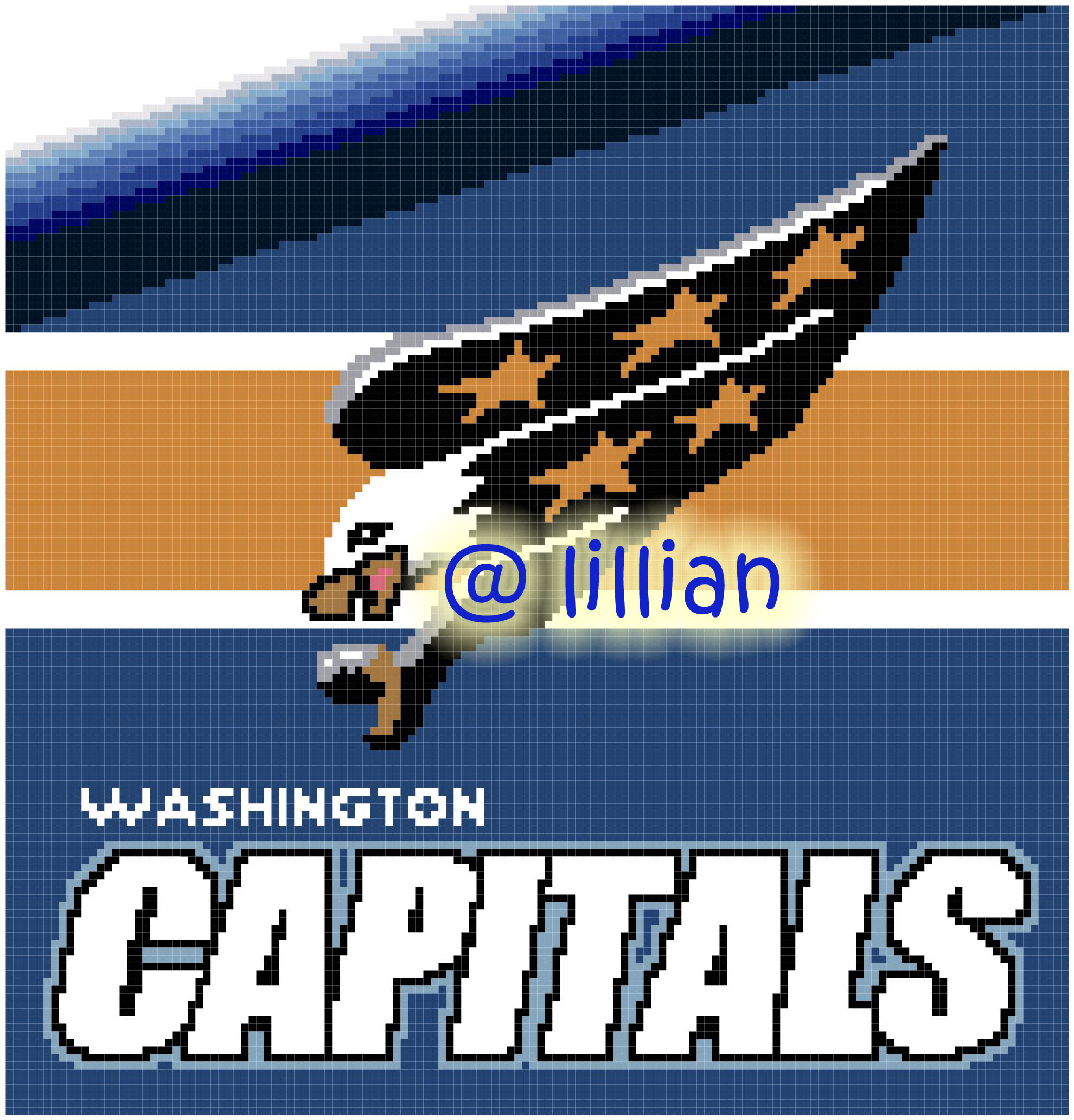 PDF ~NHL WASHINGTON CAPITALS Counted Cross Stitch PATTERN