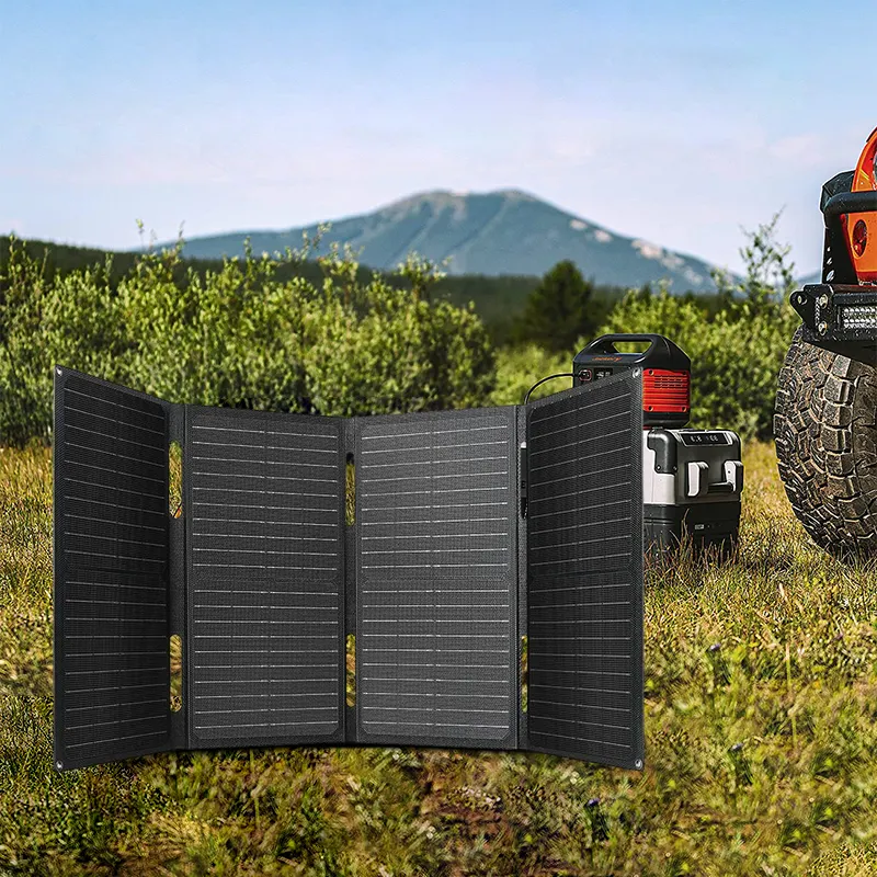 SP-312 : OEM Risen Solar Panel (530W, Bifacial Dual-Glass, 21.1% Efficiency)