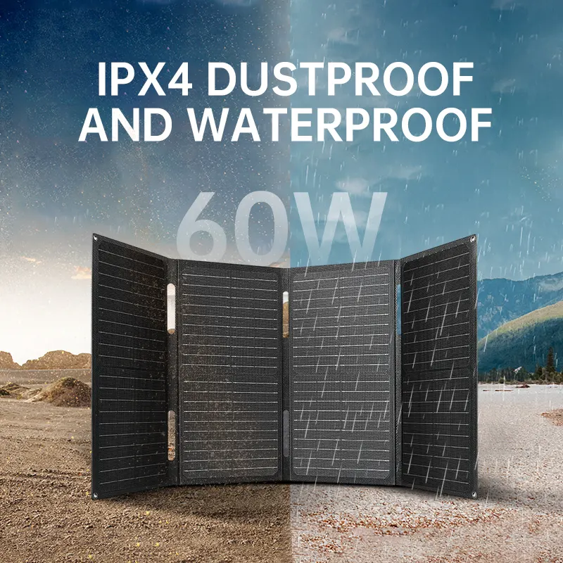 SP-312 : OEM Risen Solar Panel (530W, Bifacial Dual-Glass, 21.1% Efficiency)