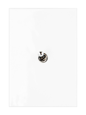White Electrical Wall Plate with Switch