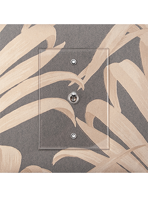 Decorative Light Switch Cover