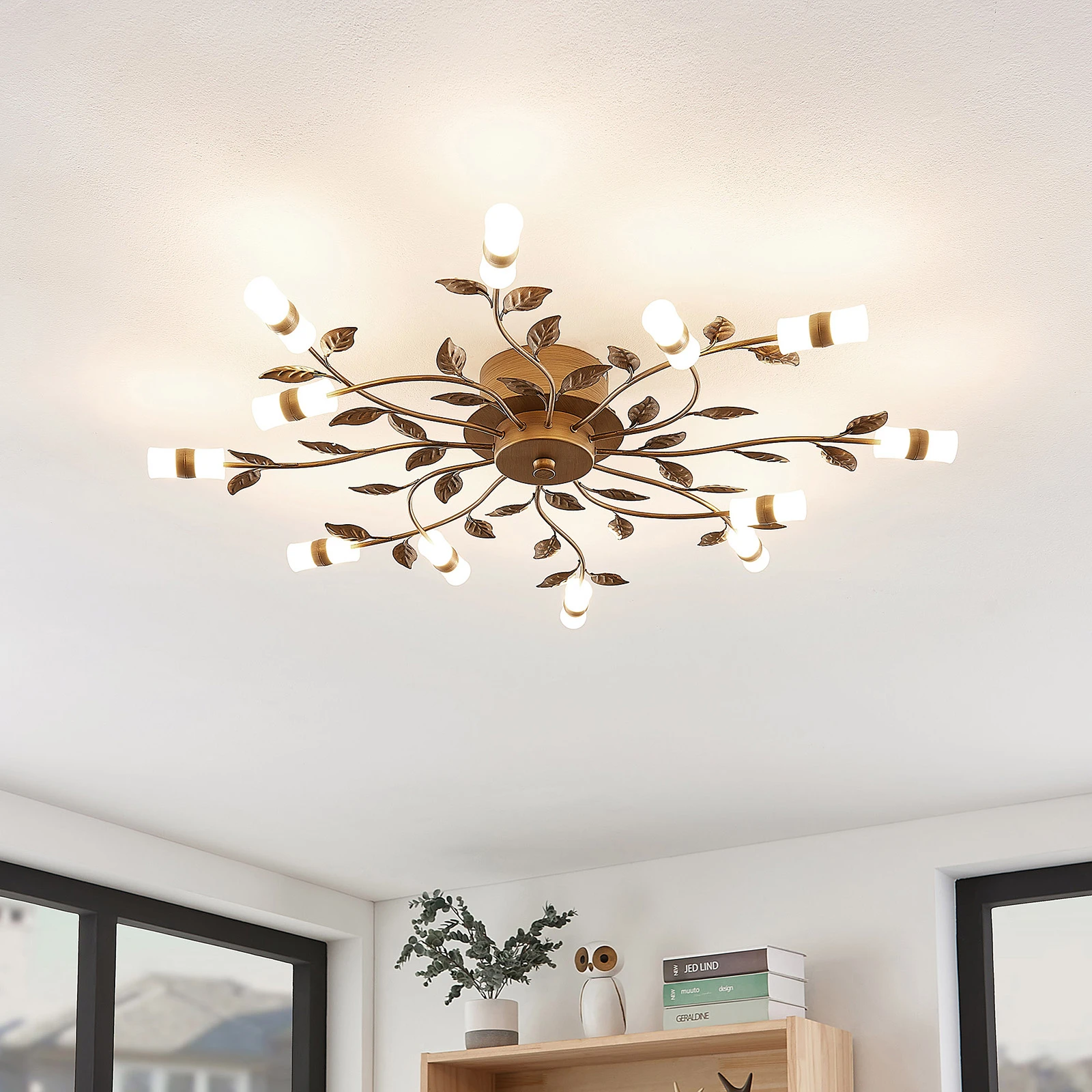 Decorative Ceiling Light Fixture