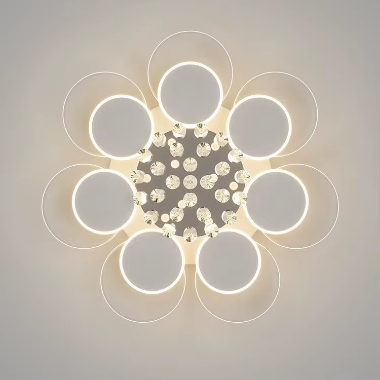 Ceiling Light Fixture