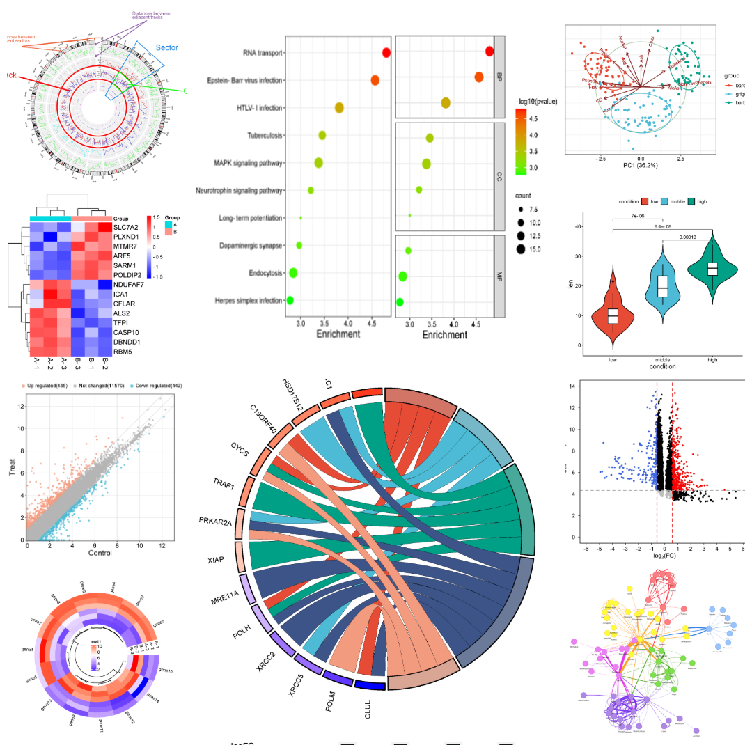 Data analysis & Statistics analysis service