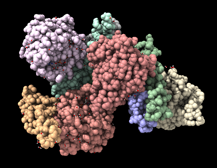 Molecular Docking service