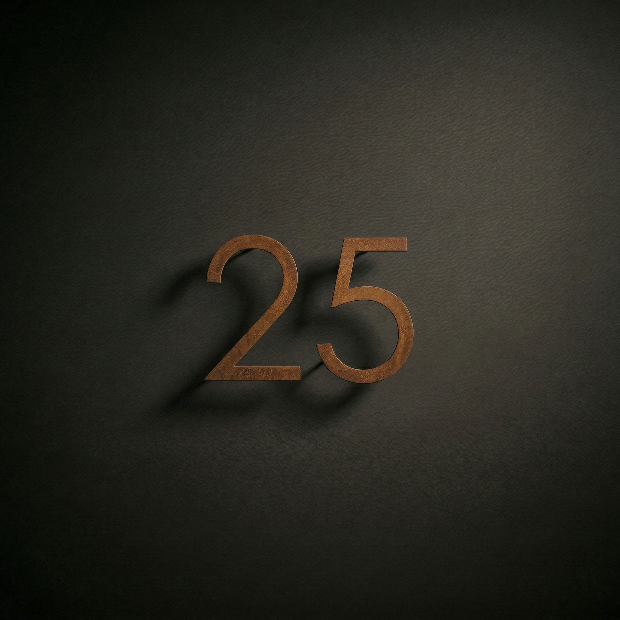 VIENA Corten namo numeris