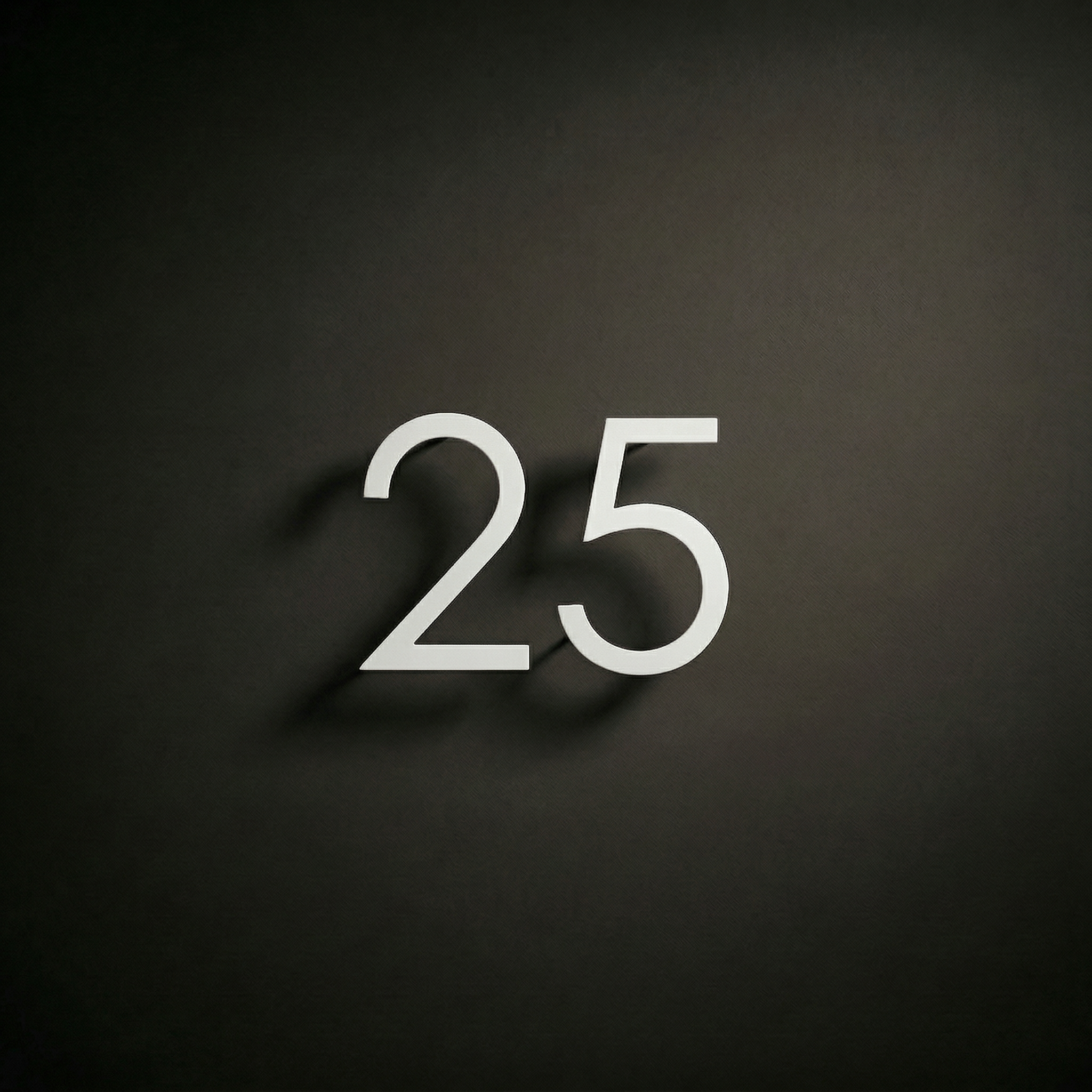 VIENA Dažyto plieno namo numeris