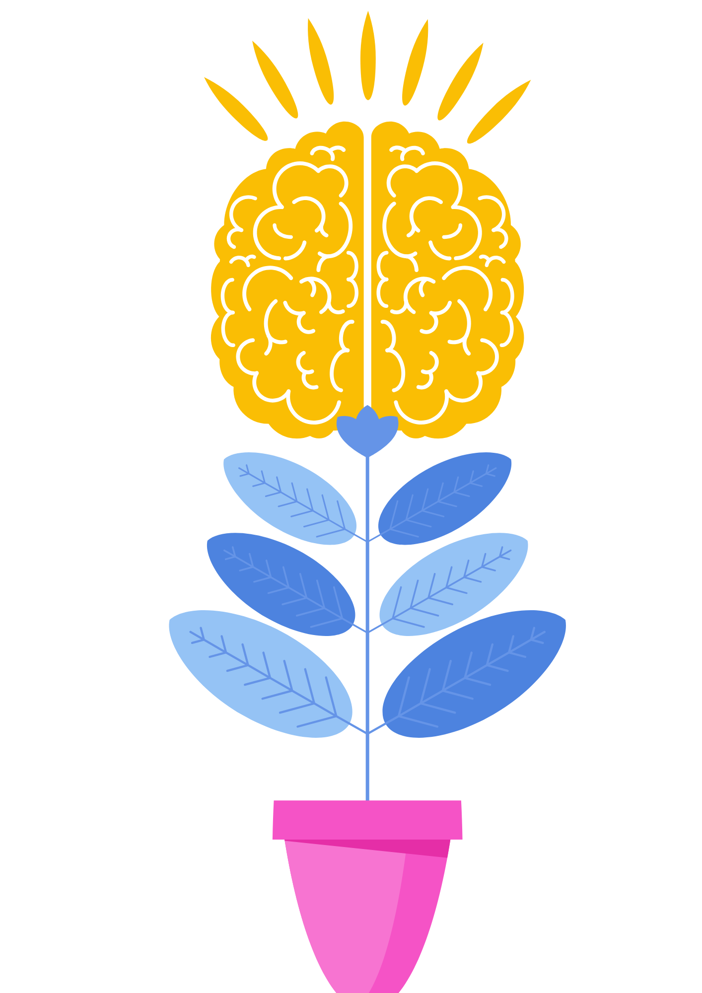 Séance de neurofeedback Neuroptimal