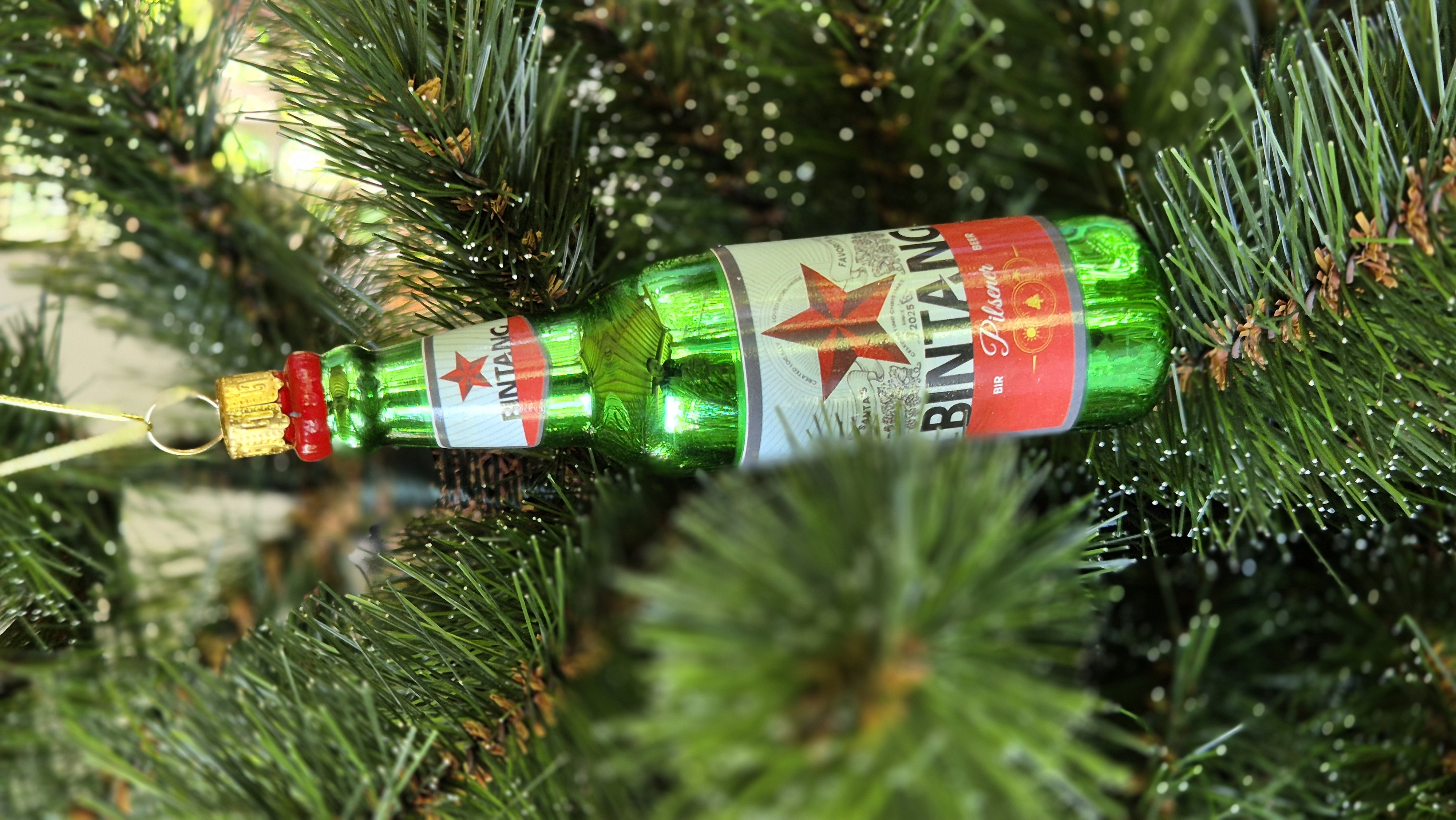 Star of the holiday season