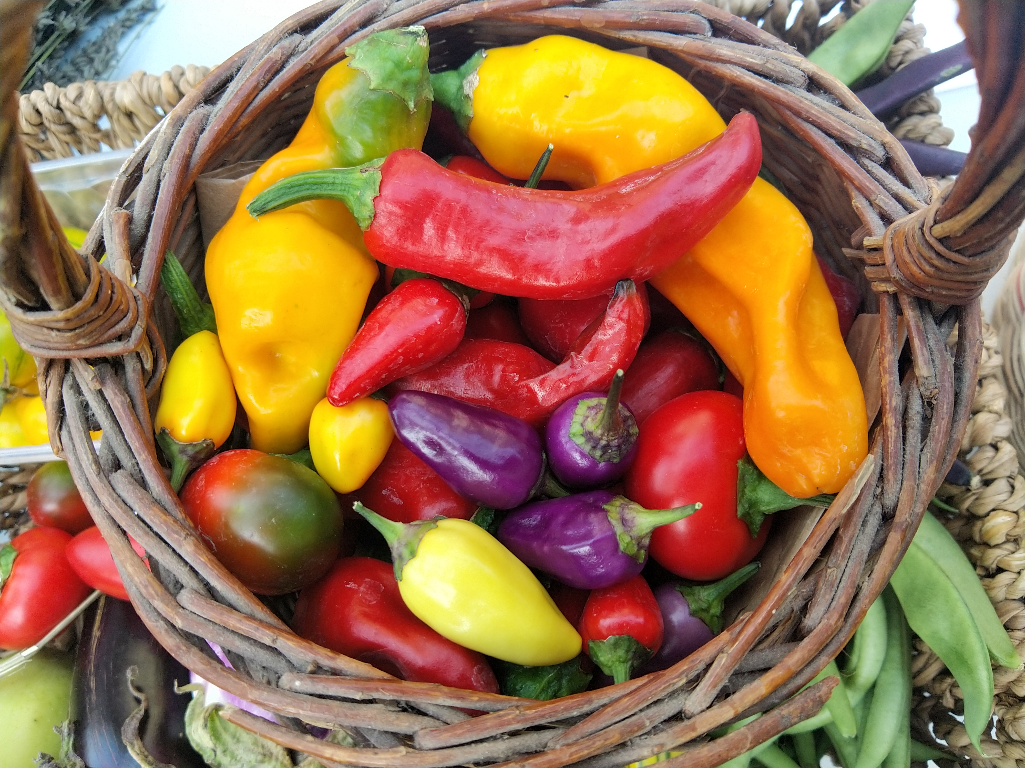 Légumes et petits fruits bio 
