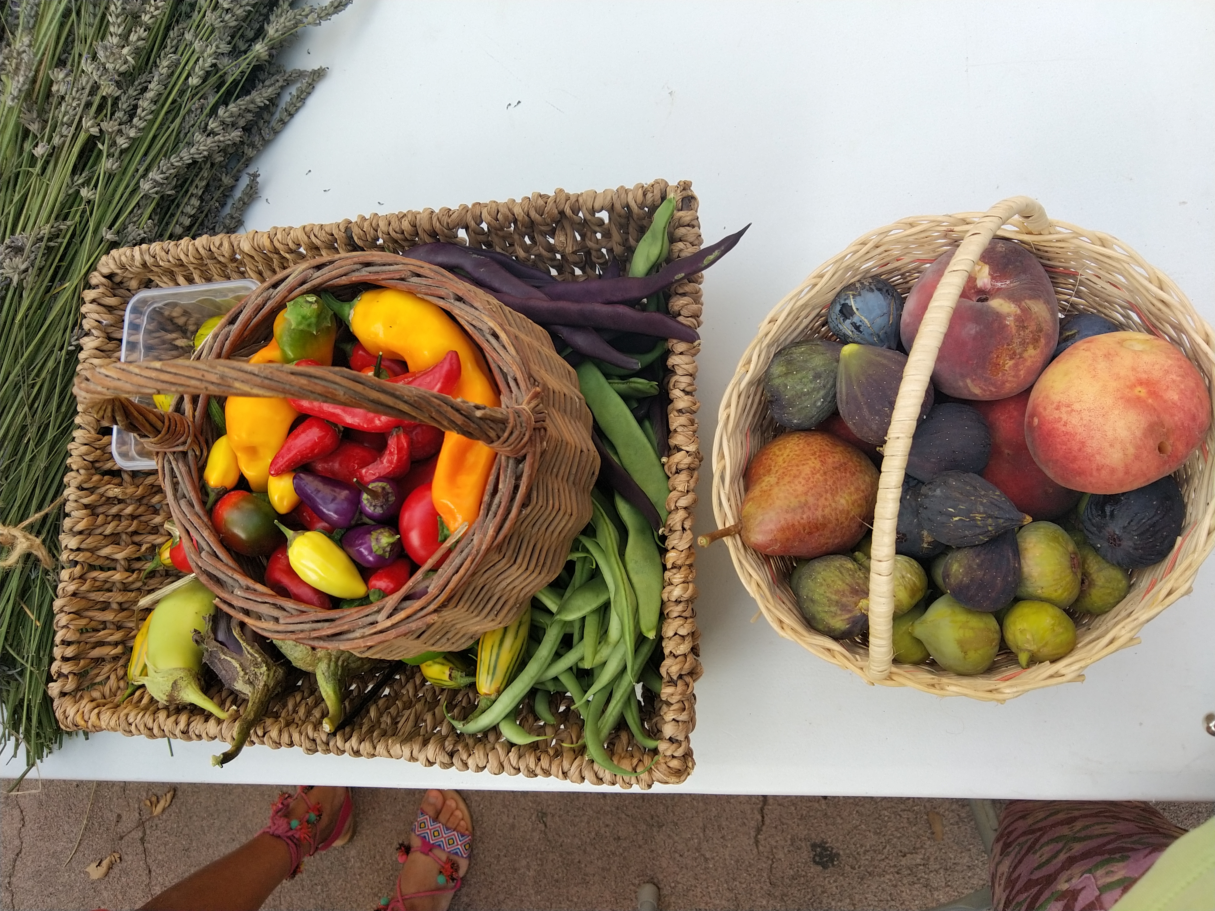 Légumes et petits fruits bio 