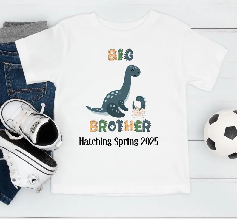 Dinosaur Big Brother Sibling Outfit Set -baby announcement gift