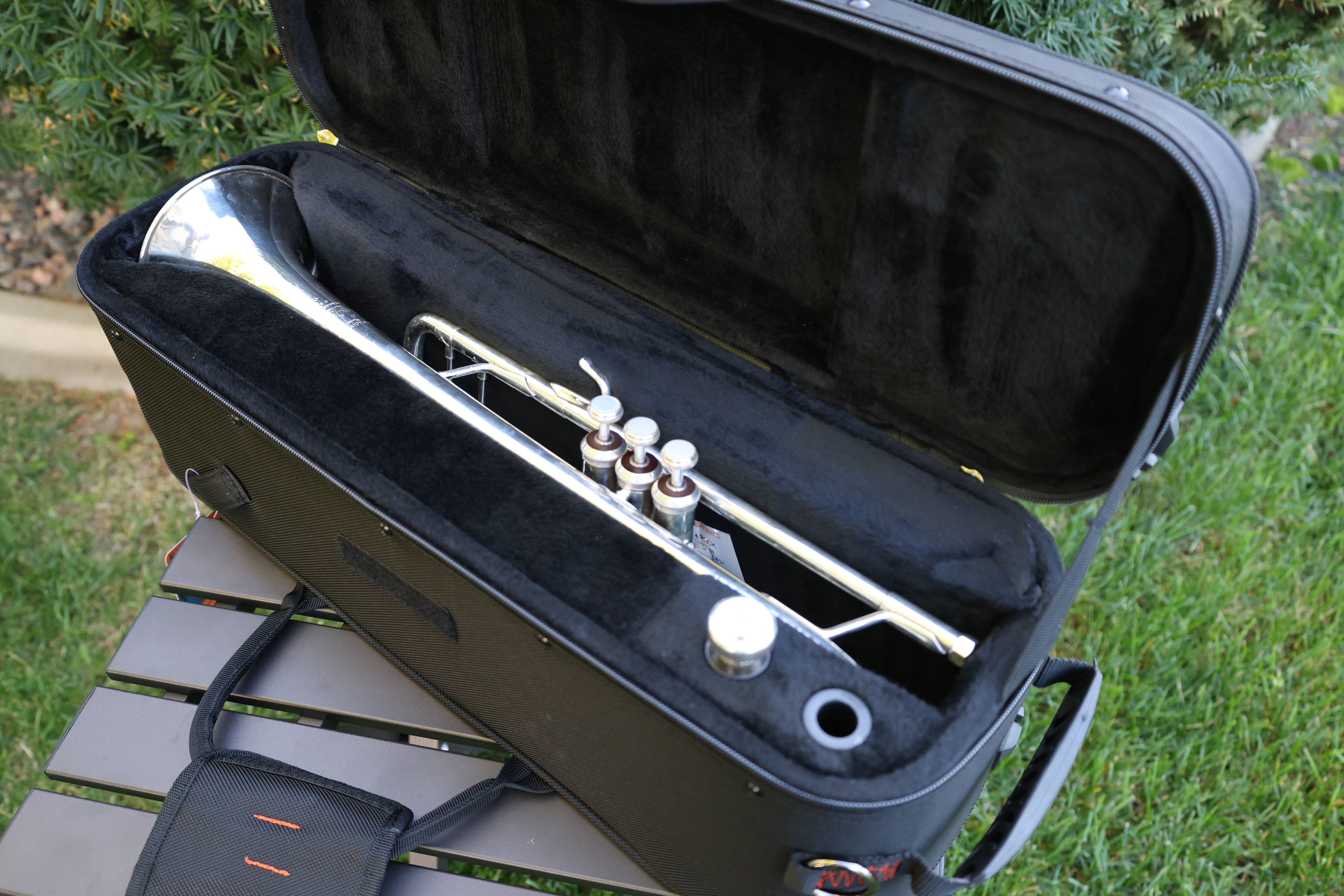 Protec Cases and Gig Bags