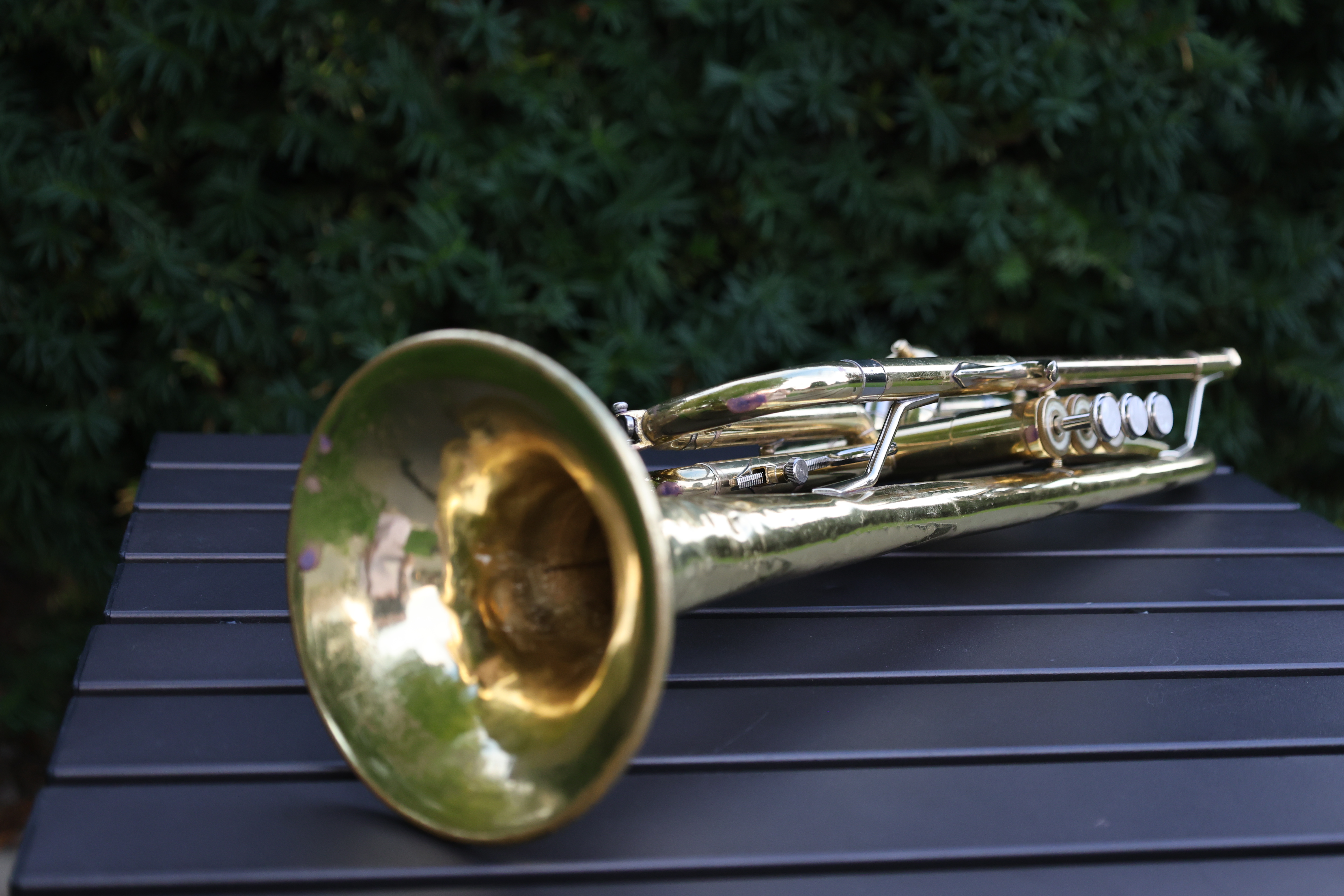 Trumpet Repairs (estimates)