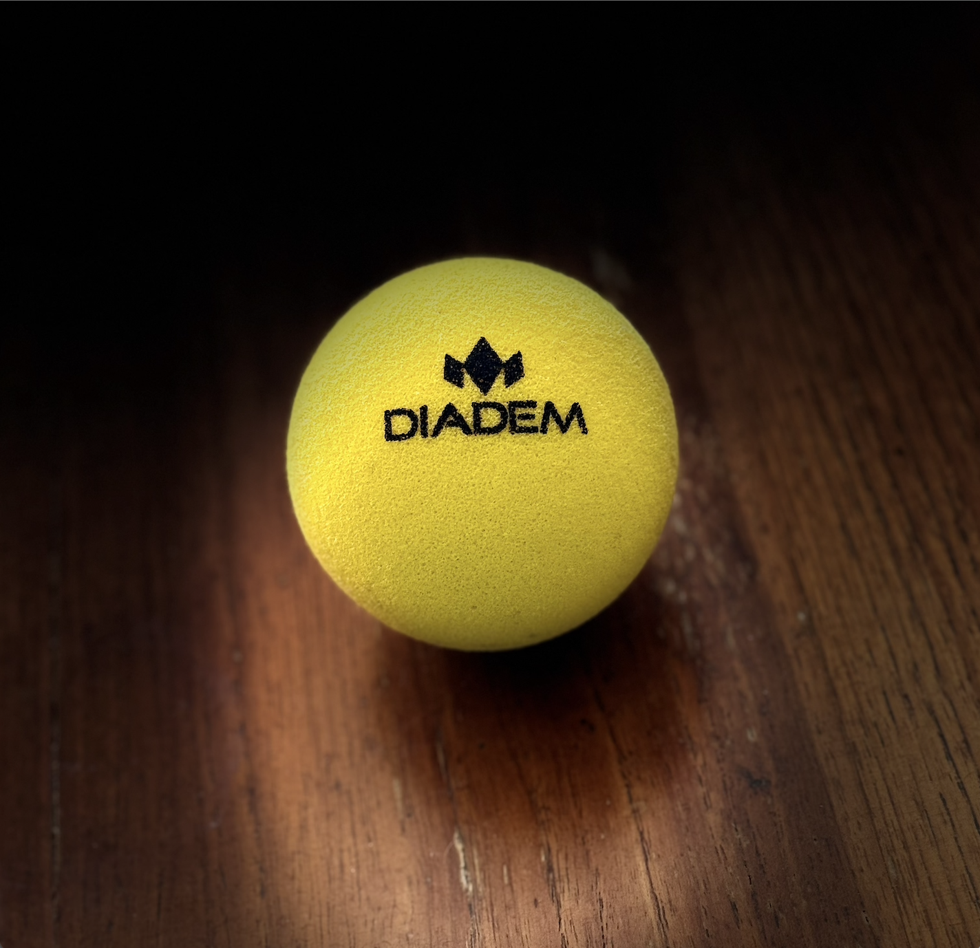 The Official Quiet Ball