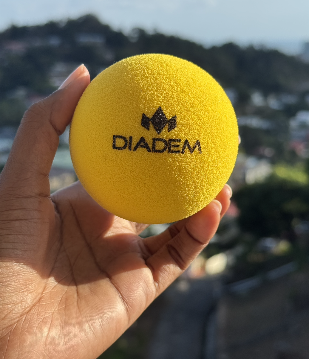 The Official Quiet Ball