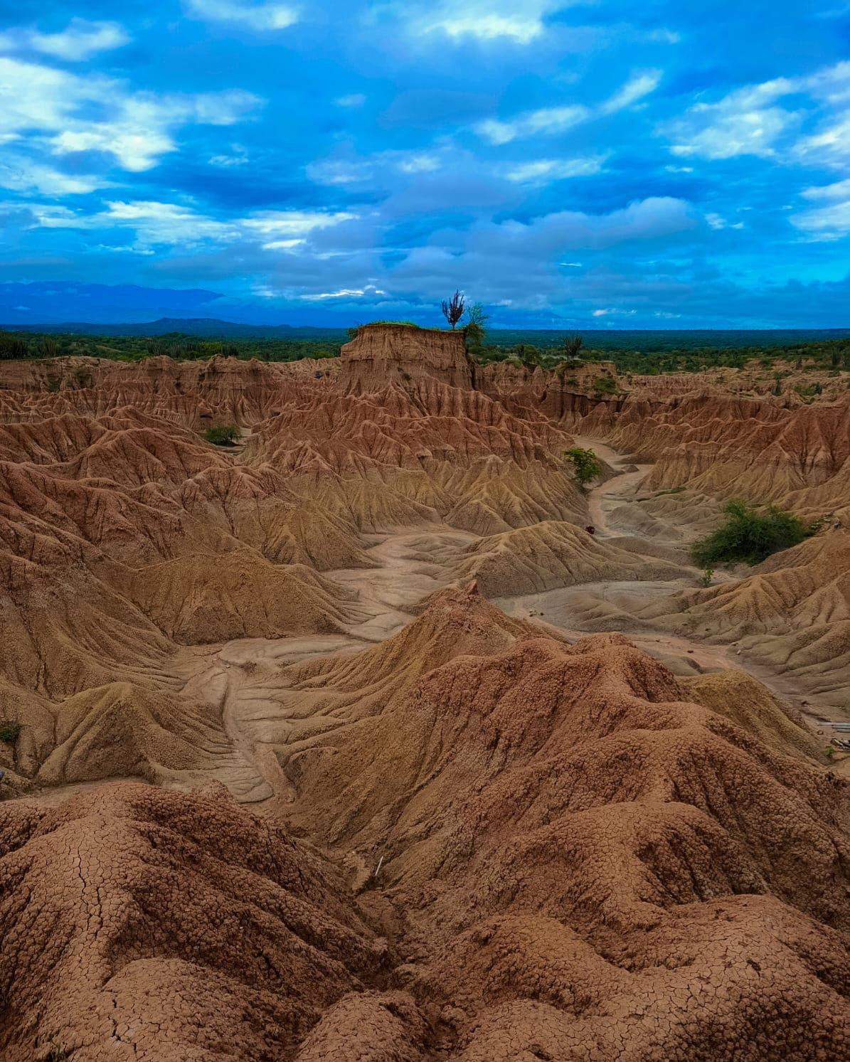 Ruta huilense - (3 Días 2 Noches)