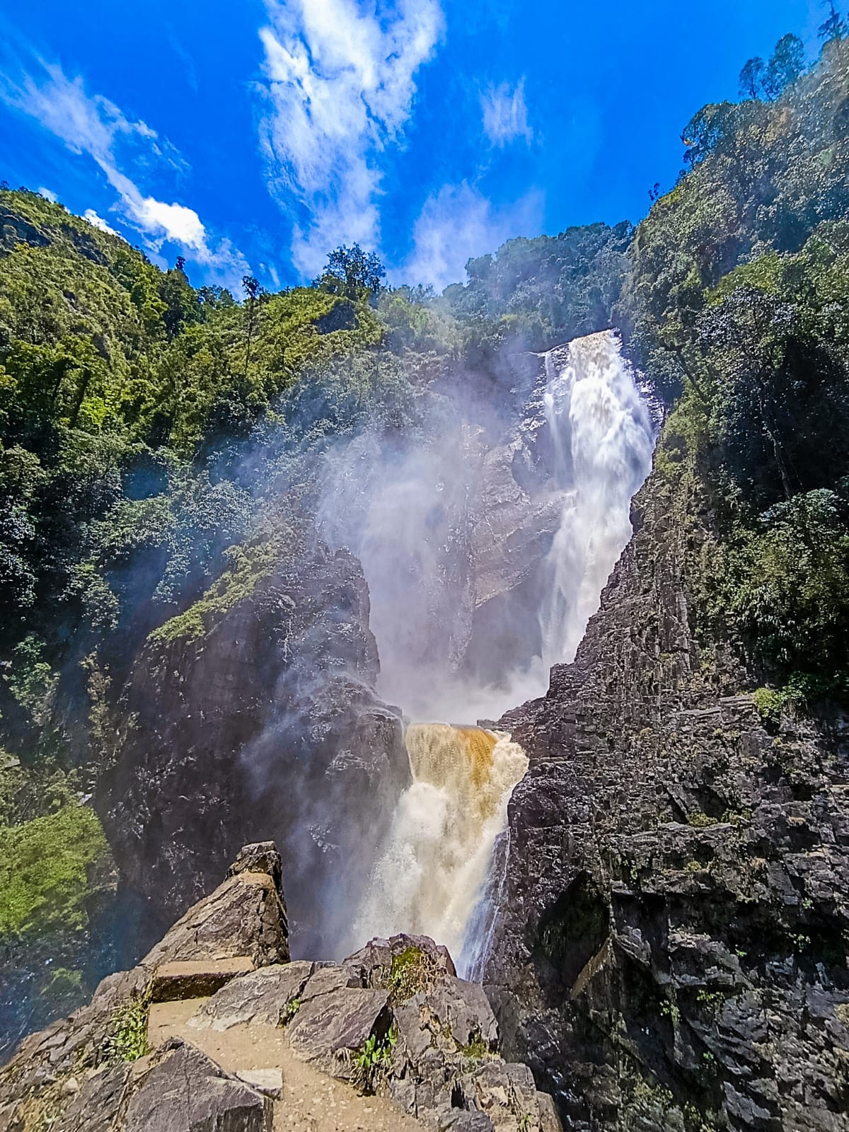 Origen del magdalena (2 Dias 1 Noche)