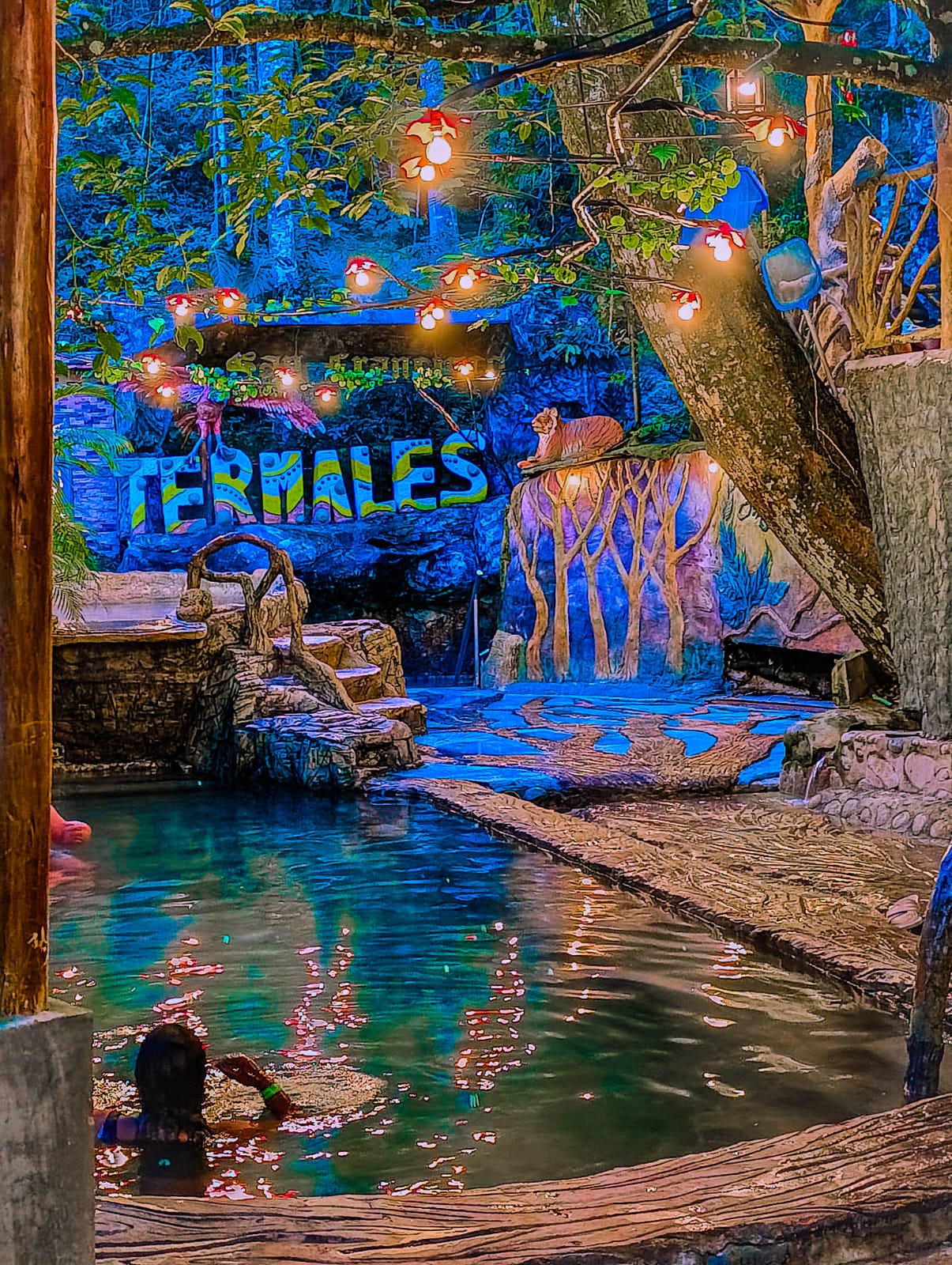 Ruta huilense - (3 Días 2 Noches)