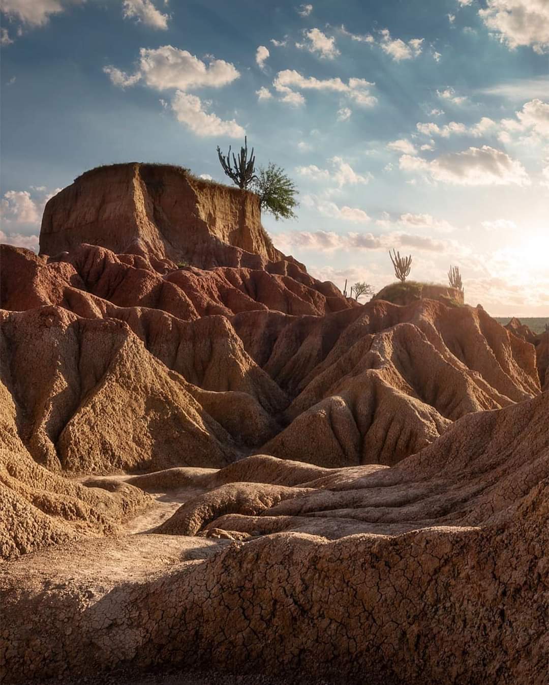 Ruta huilense (4 Dias 3 Noches)