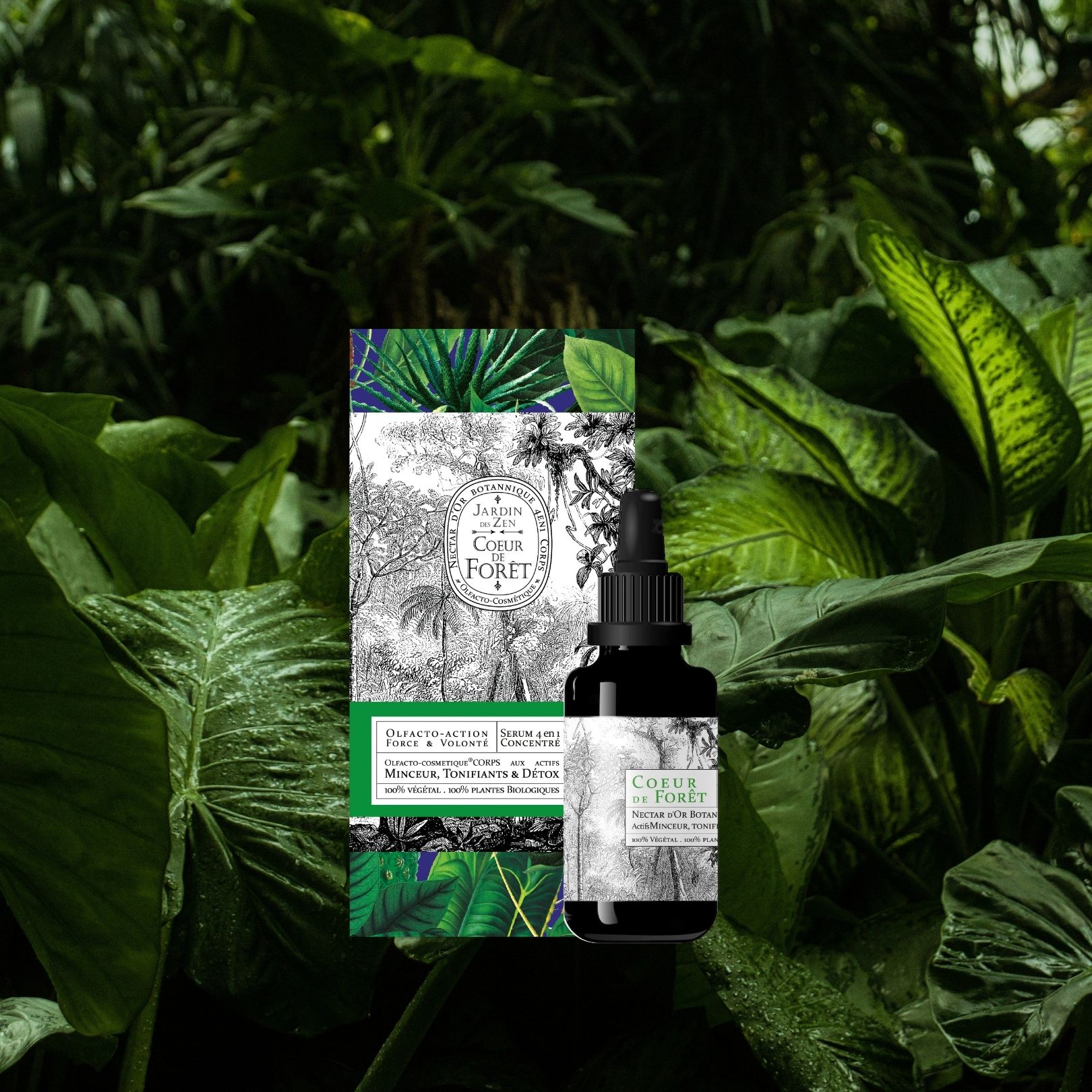 Cœur de Forêt - Minceur & Détox