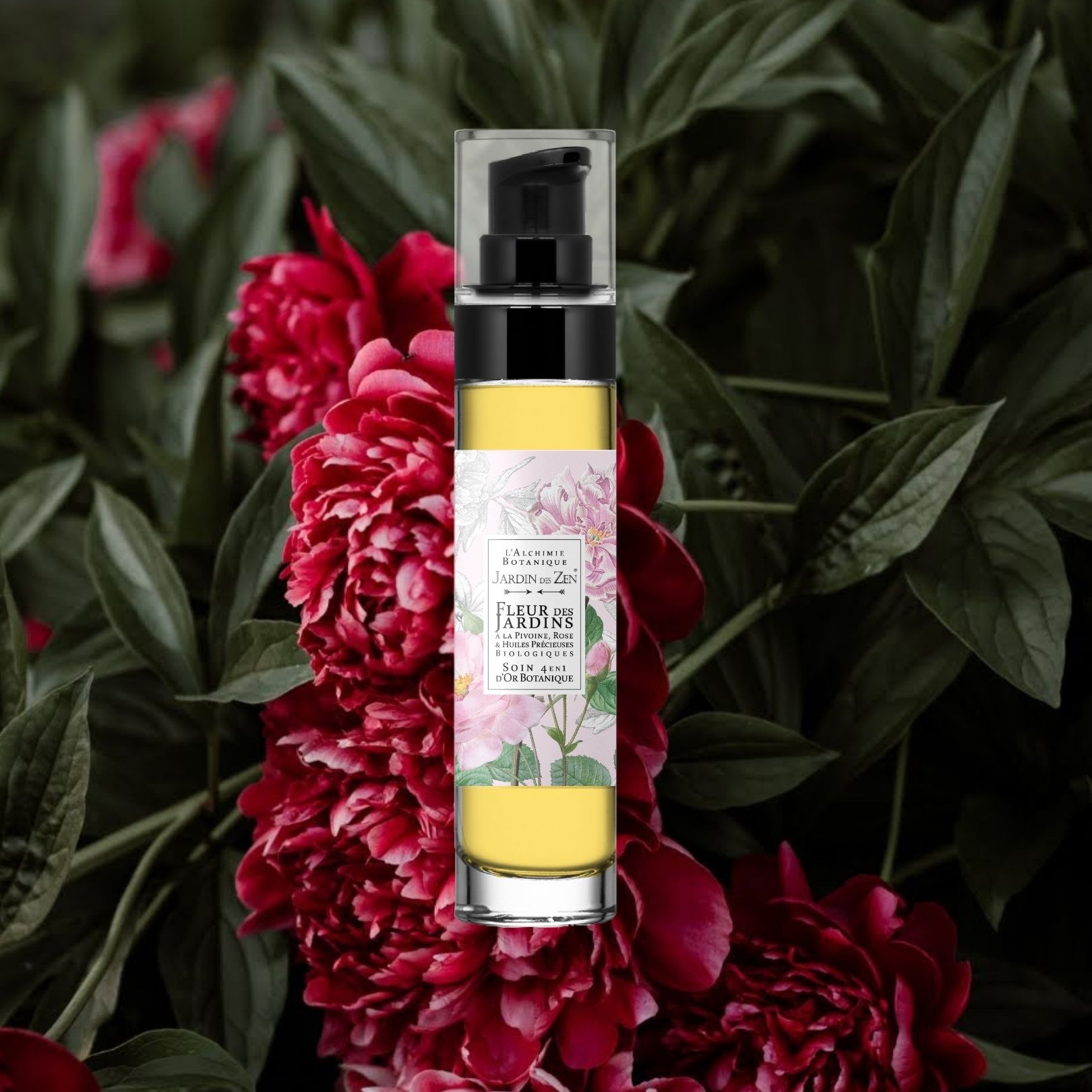Or Fleurs des Jardins - Pivoine
