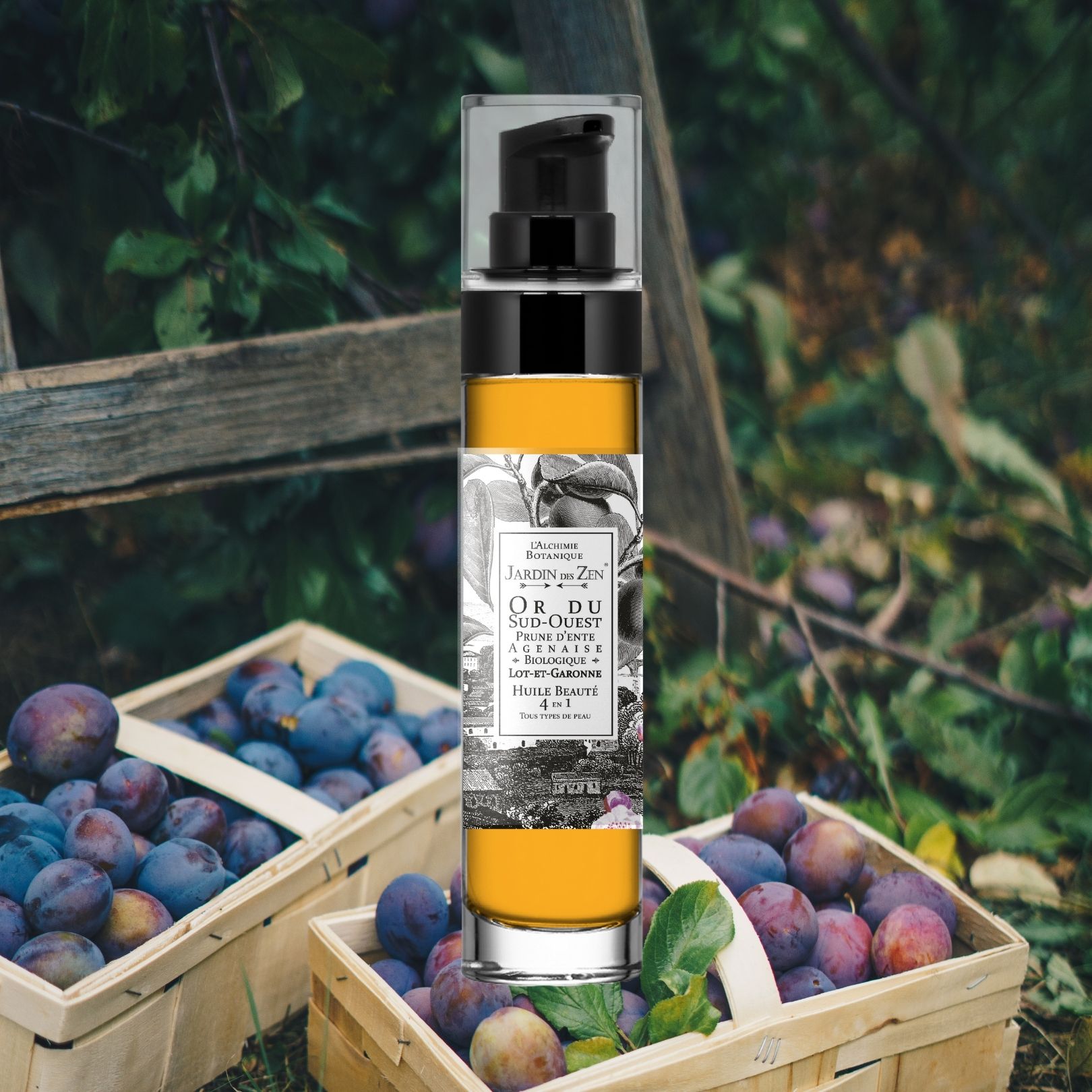 Or du Sud Ouest - Prune de Gascogne