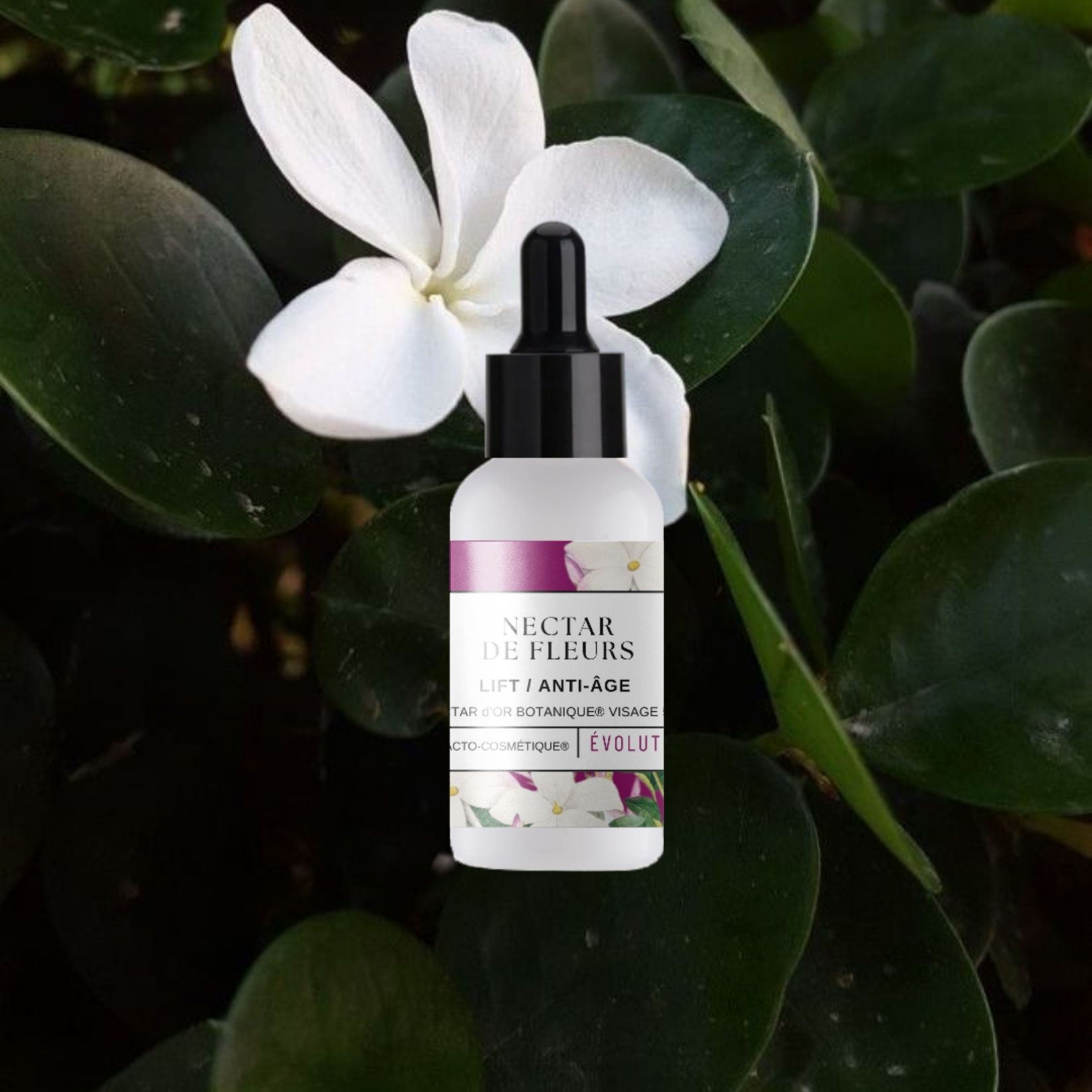 Nectar de Fleurs - Jouvence