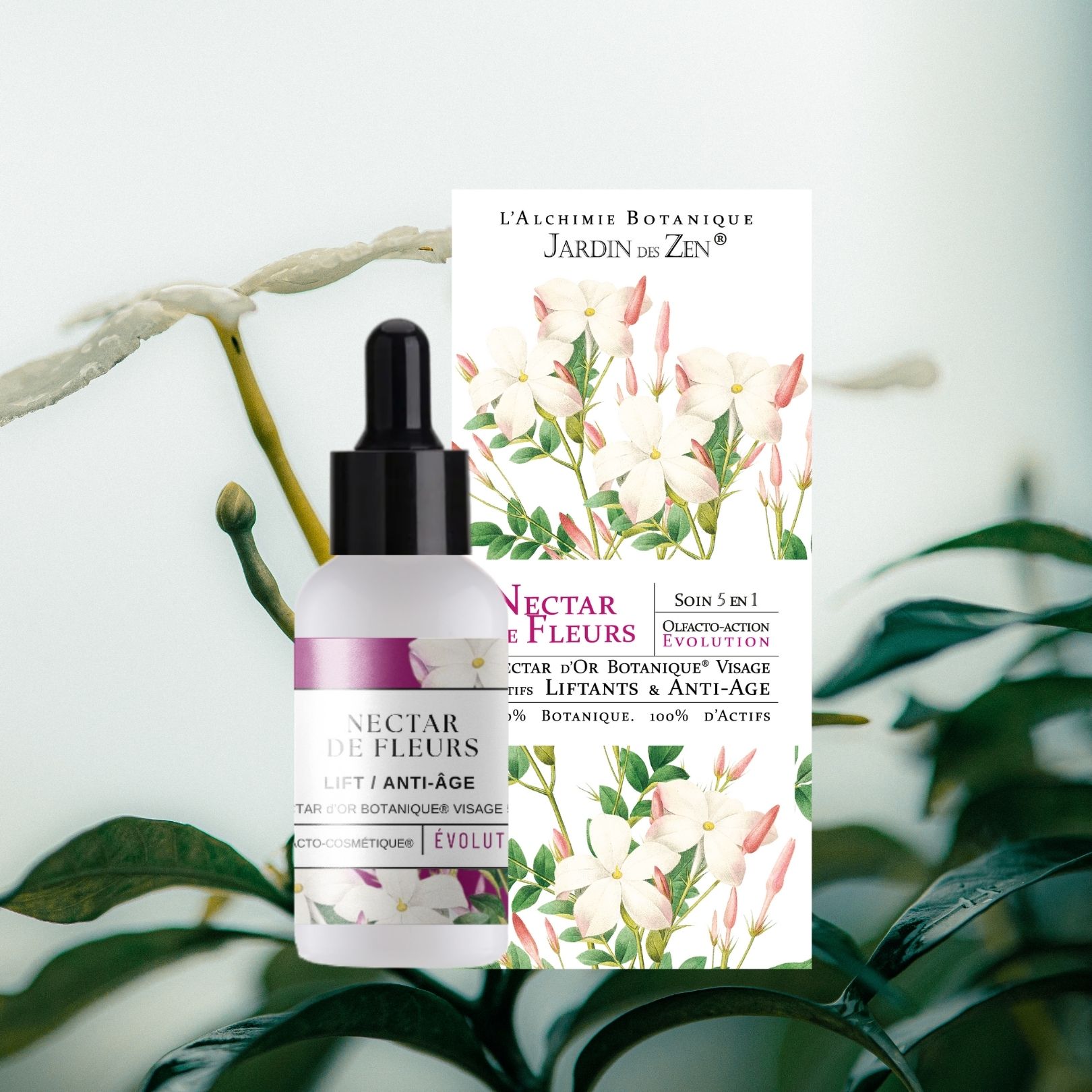 Nectar de Fleurs - Jouvence