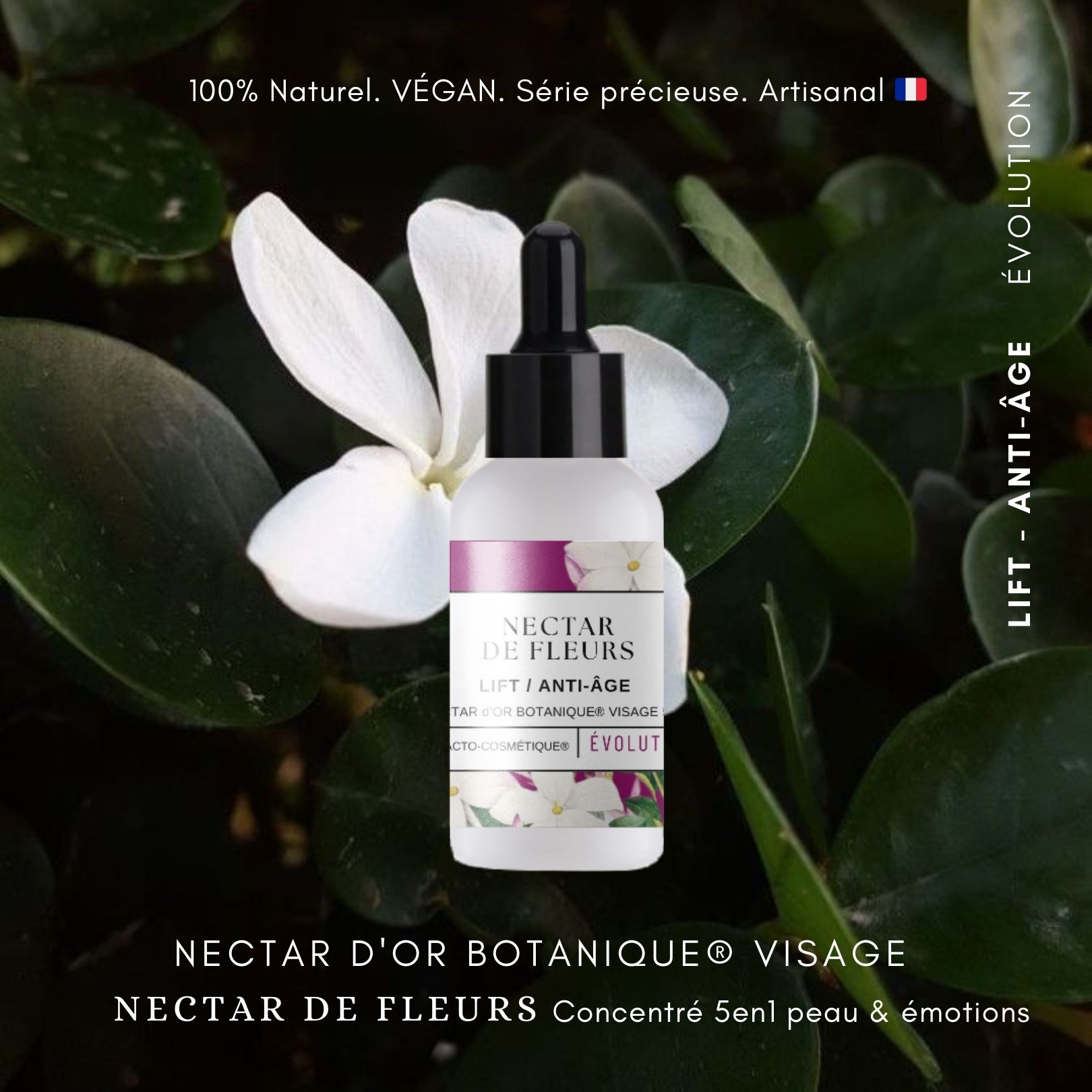 Nectar de Fleurs - Jouvence