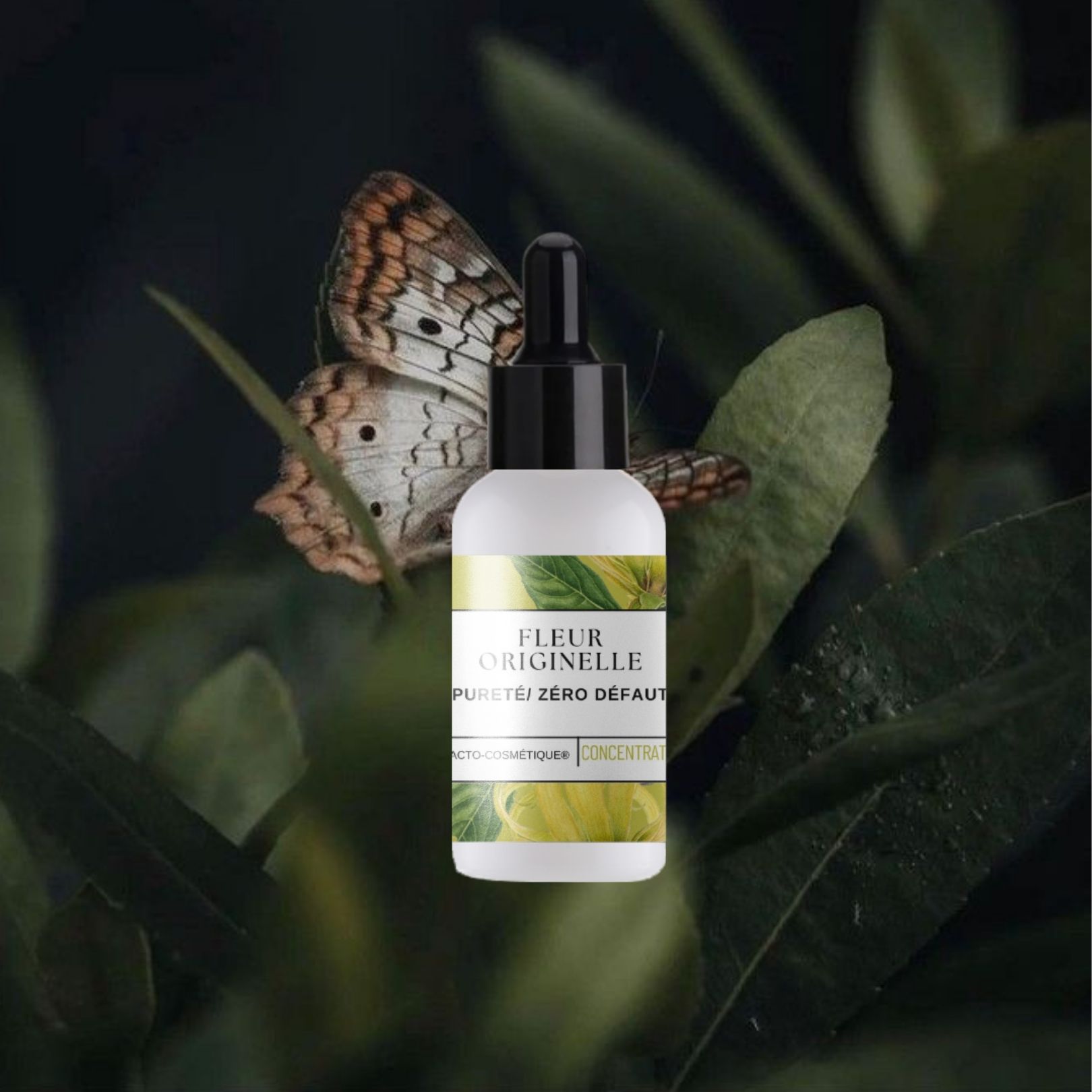 Fleur Originelle- Pureté / Equilibre / Anti imperfection