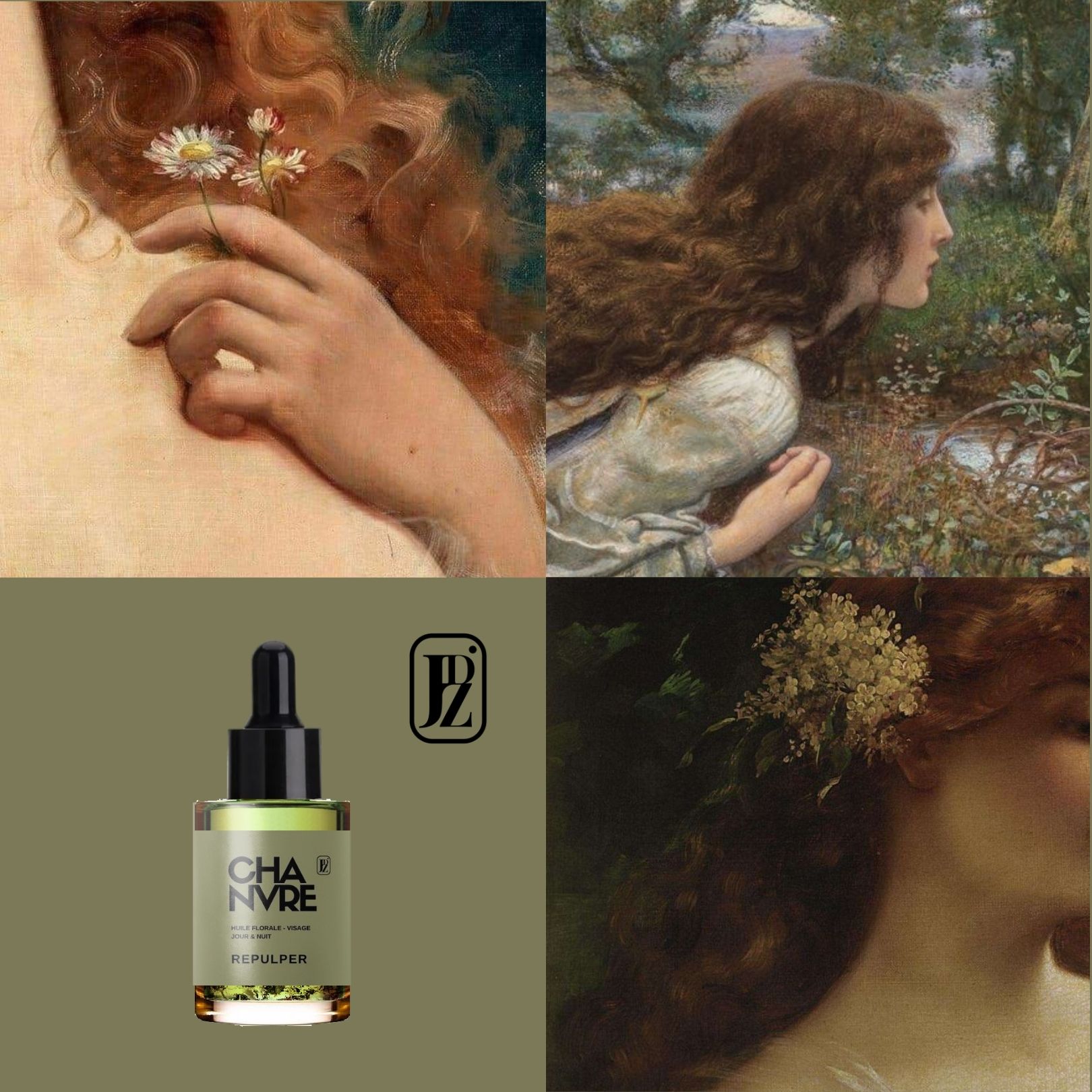 Huile de Chanvre - REPULPER